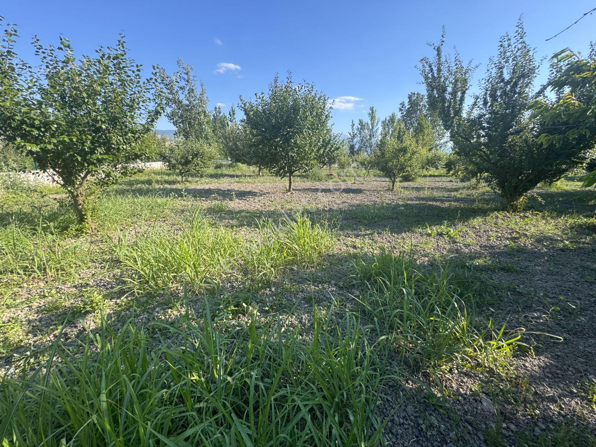 Emirseyitte Anayol Üzerinde 2945m2 İçerisinde 2+1 Evi Olan - Görsel 8