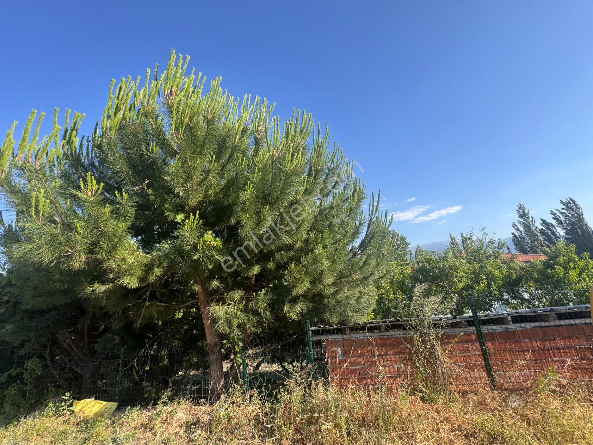 Emirseyitte Anayol Üzerinde 2945m2 İçerisinde 2+1 Evi Olan - Görsel 27