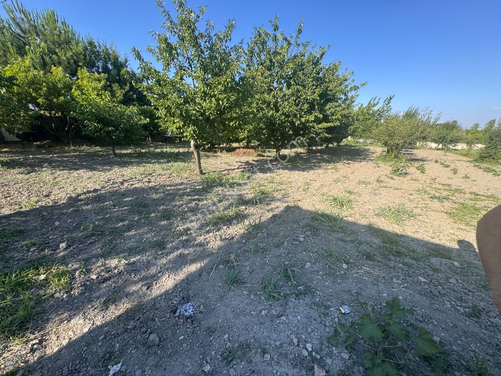 Emirseyitte Anayol Üzerinde 2945m2 İçerisinde 2+1 Evi Olan - Görsel 9