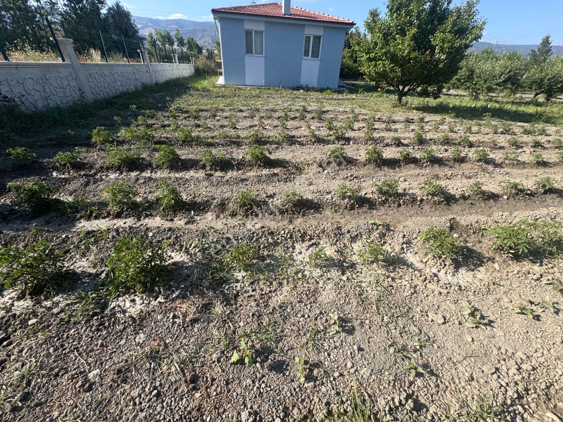 Emirseyitte Anayol Üzerinde 2945m2 İçerisinde 2+1 Evi Olan - Görsel 5