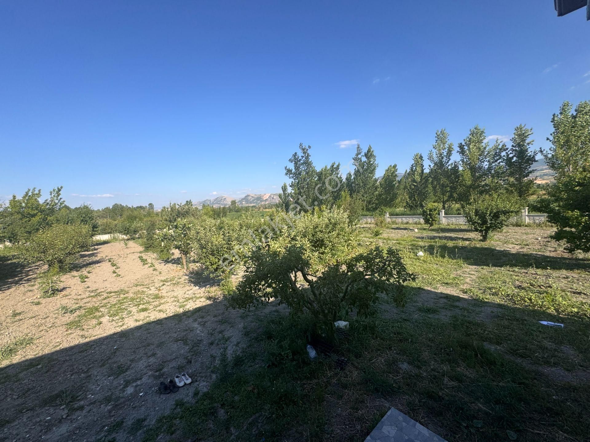 Emirseyitte Anayol Üzerinde 2945m2 İçerisinde 2+1 Evi Olan - Görsel 12