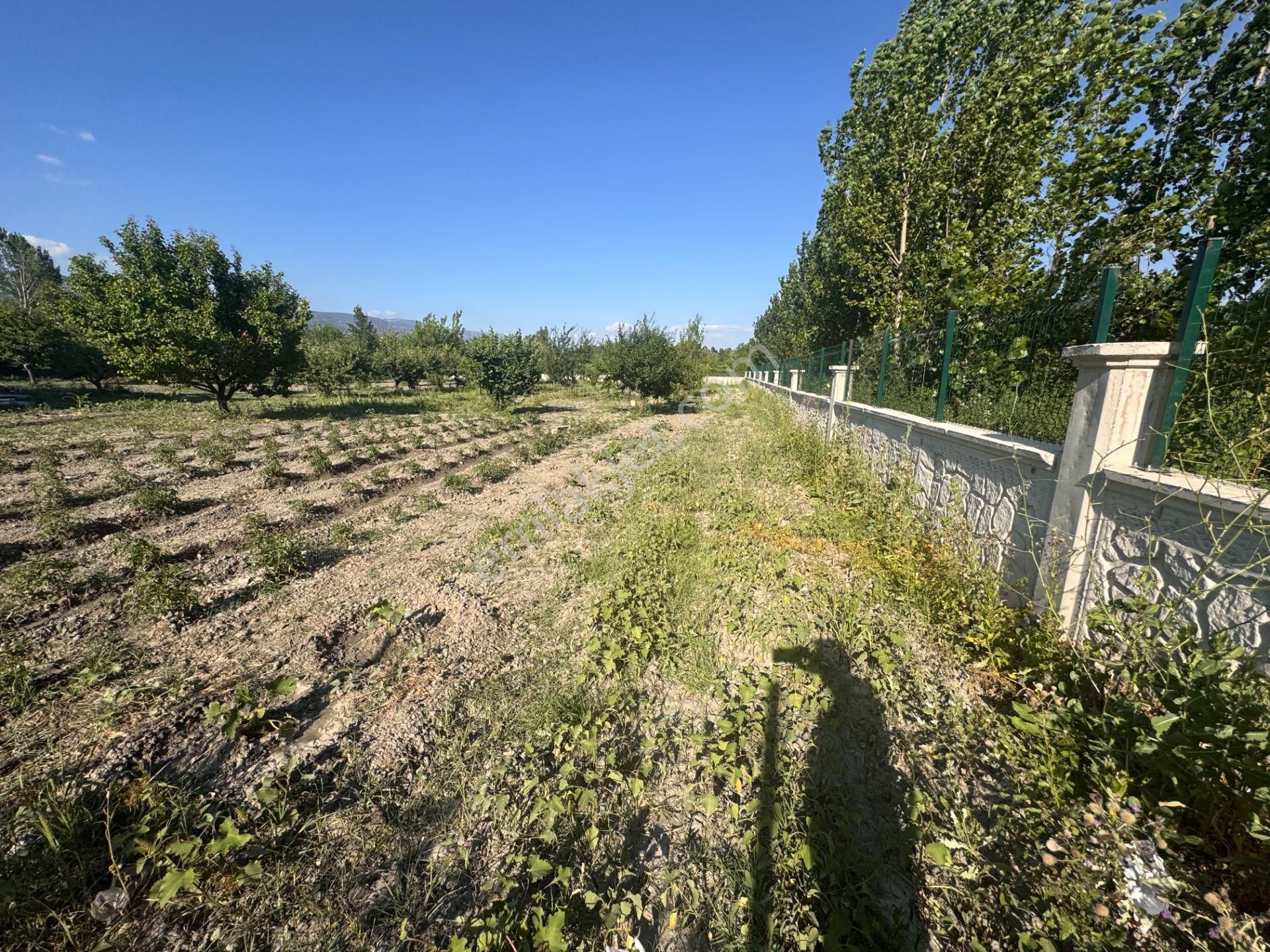 Emirseyitte Anayol Üzerinde 2945m2 İçerisinde 2+1 Evi Olan - Görsel 4