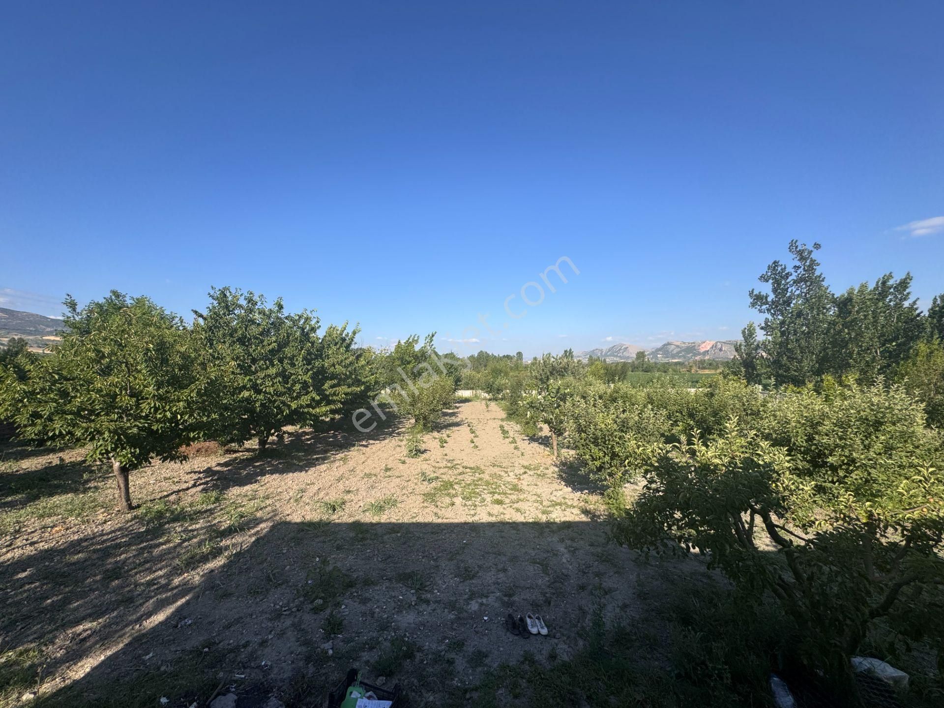 Emirseyitte Anayol Üzerinde 2945m2 İçerisinde 2+1 Evi Olan - Görsel 11