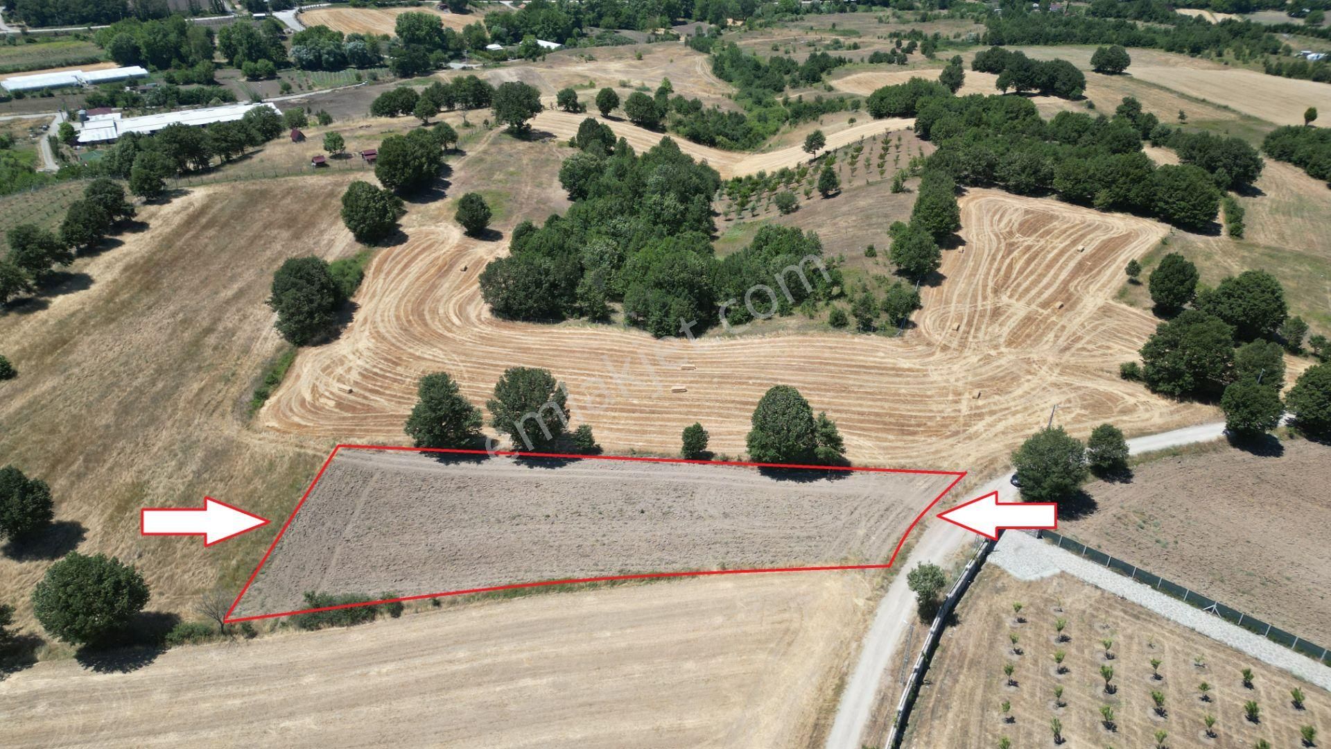 Kocaeli Karamürsel Çamdibi %5 İmarlı 2561 M2 Satılık Tarla