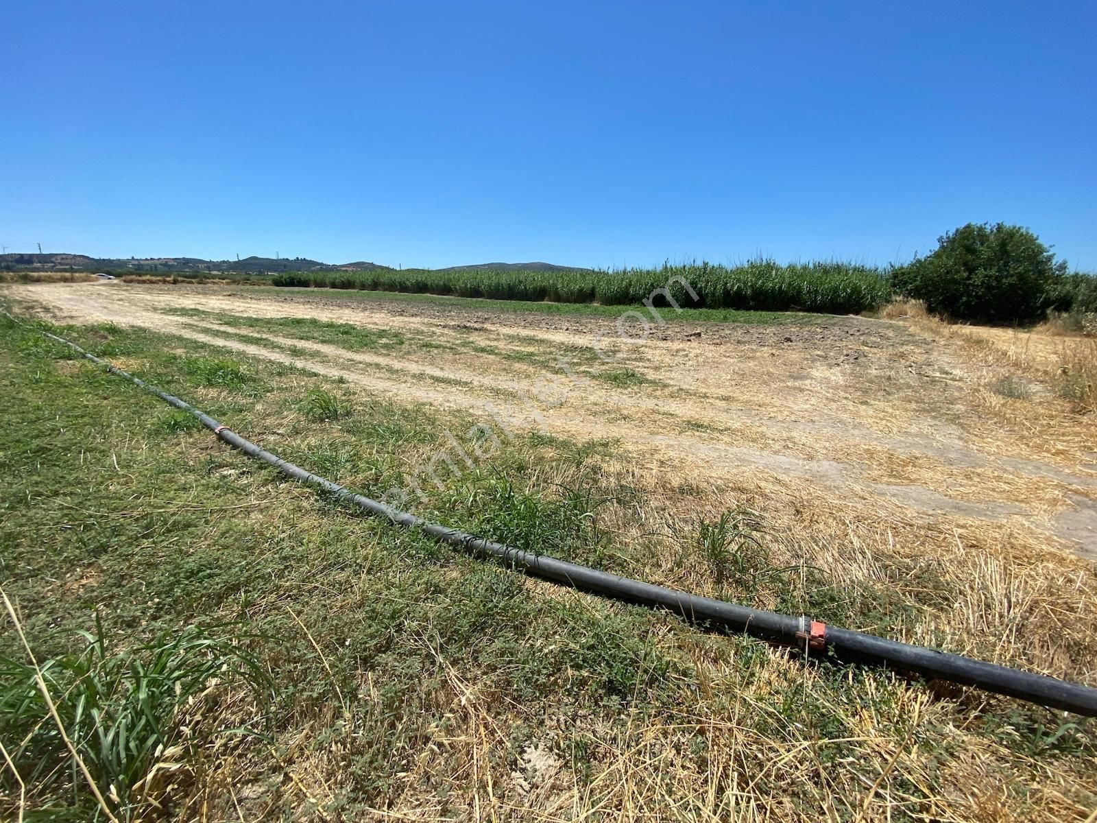 Didim Akyeniköy De Satılık Verimli Sulu Tarla - Görsel 12