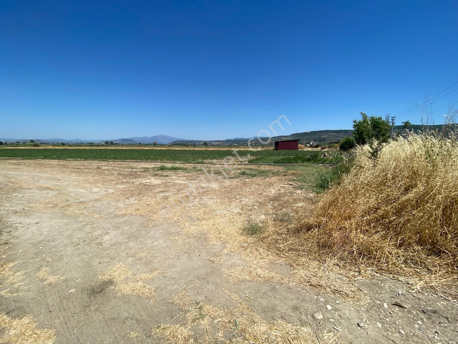 Didim Akyeniköy De Satılık Verimli Sulu Tarla - Görsel 20