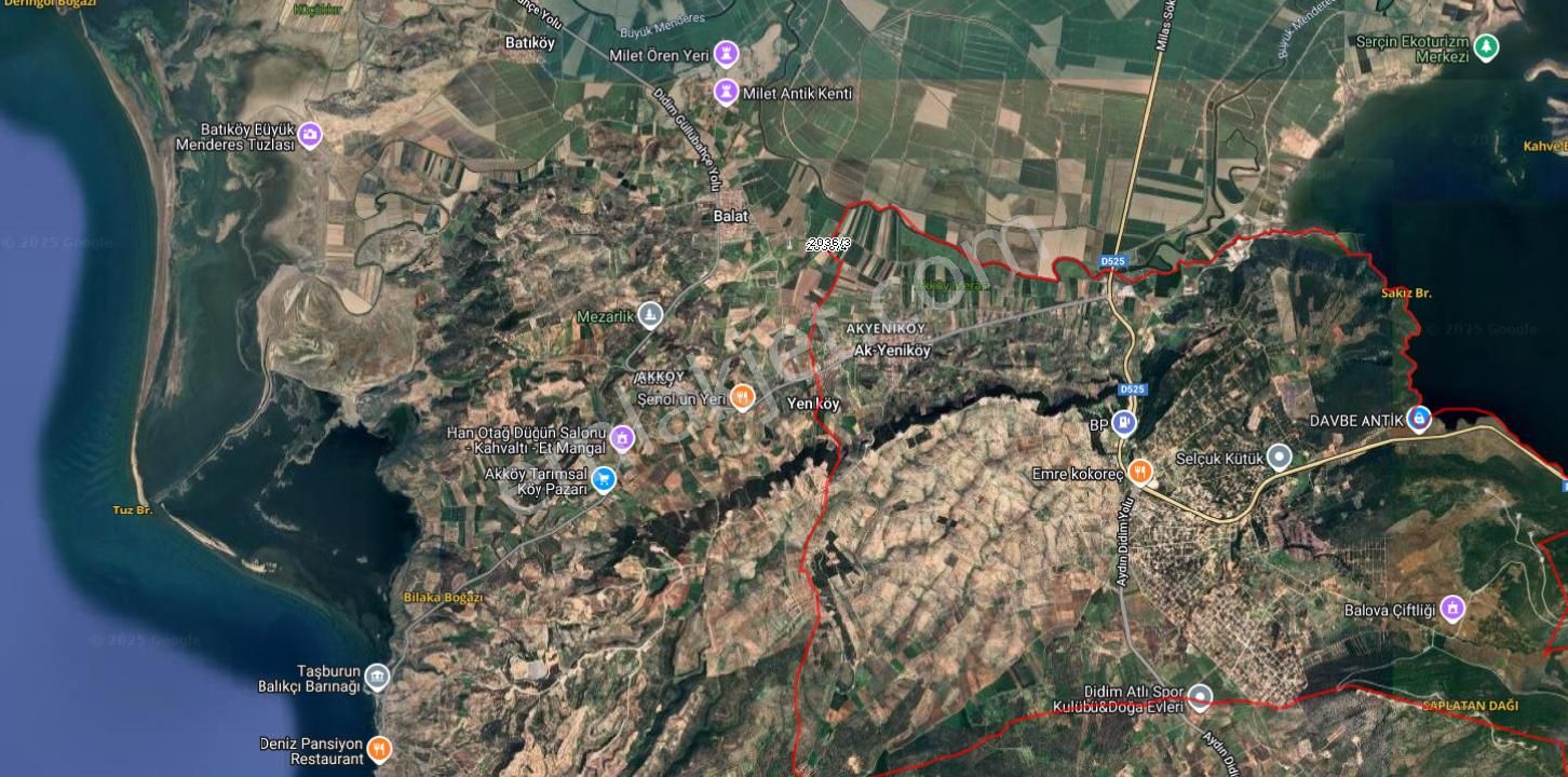 Didim Akyeniköy De Satılık Verimli Sulu Tarla - Görsel 2