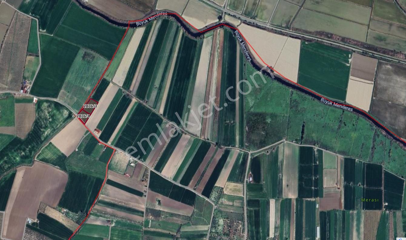 Didim Akyeniköy De Satılık Verimli Sulu Tarla - Görsel 3