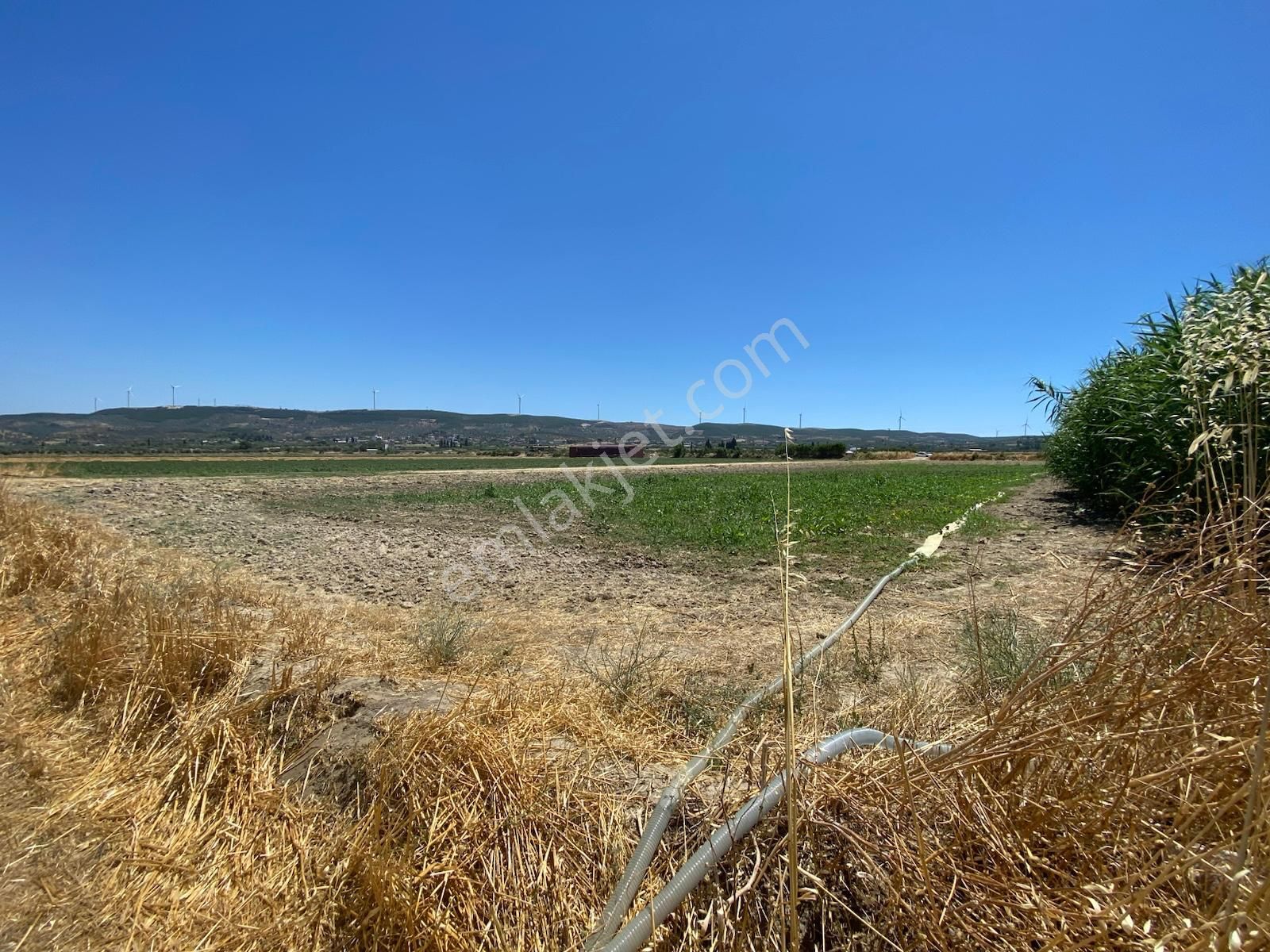 Didim Akyeniköy De Satılık Verimli Sulu Tarla - Görsel 18