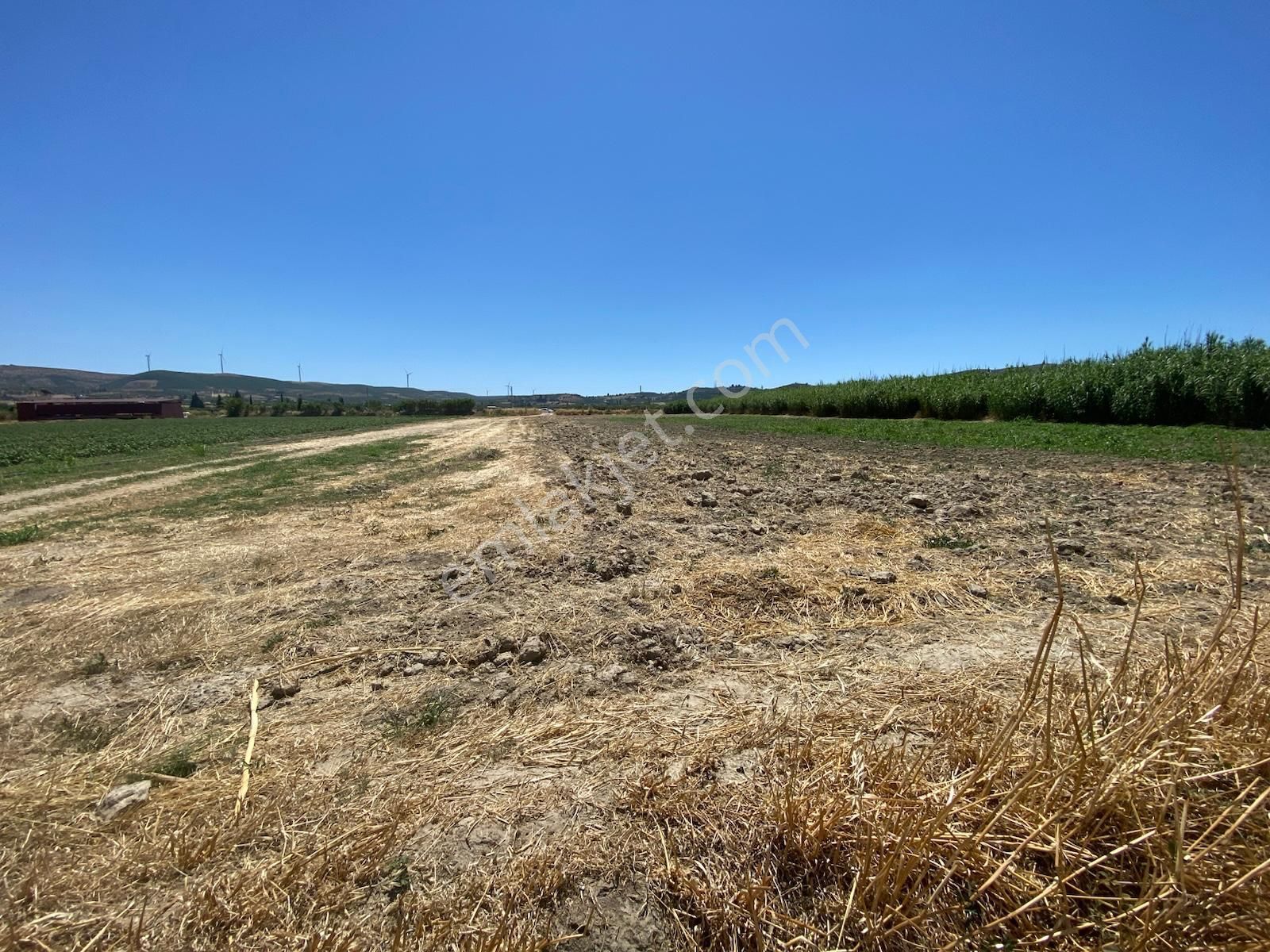 Didim Akyeniköy De Satılık Verimli Sulu Tarla - Görsel 13