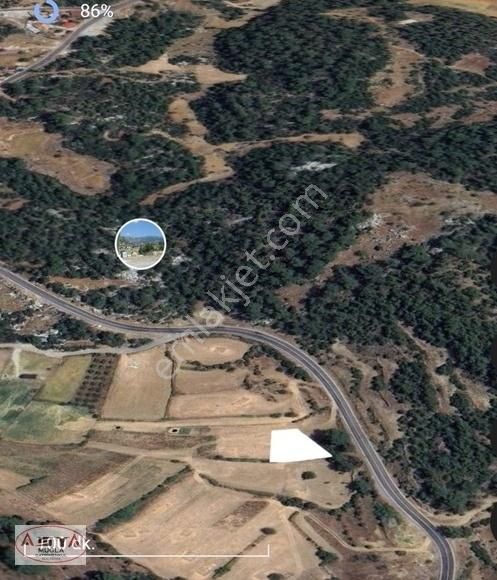 Sarnıçta Satılık Yatırım Değeri Yüksek Tarla