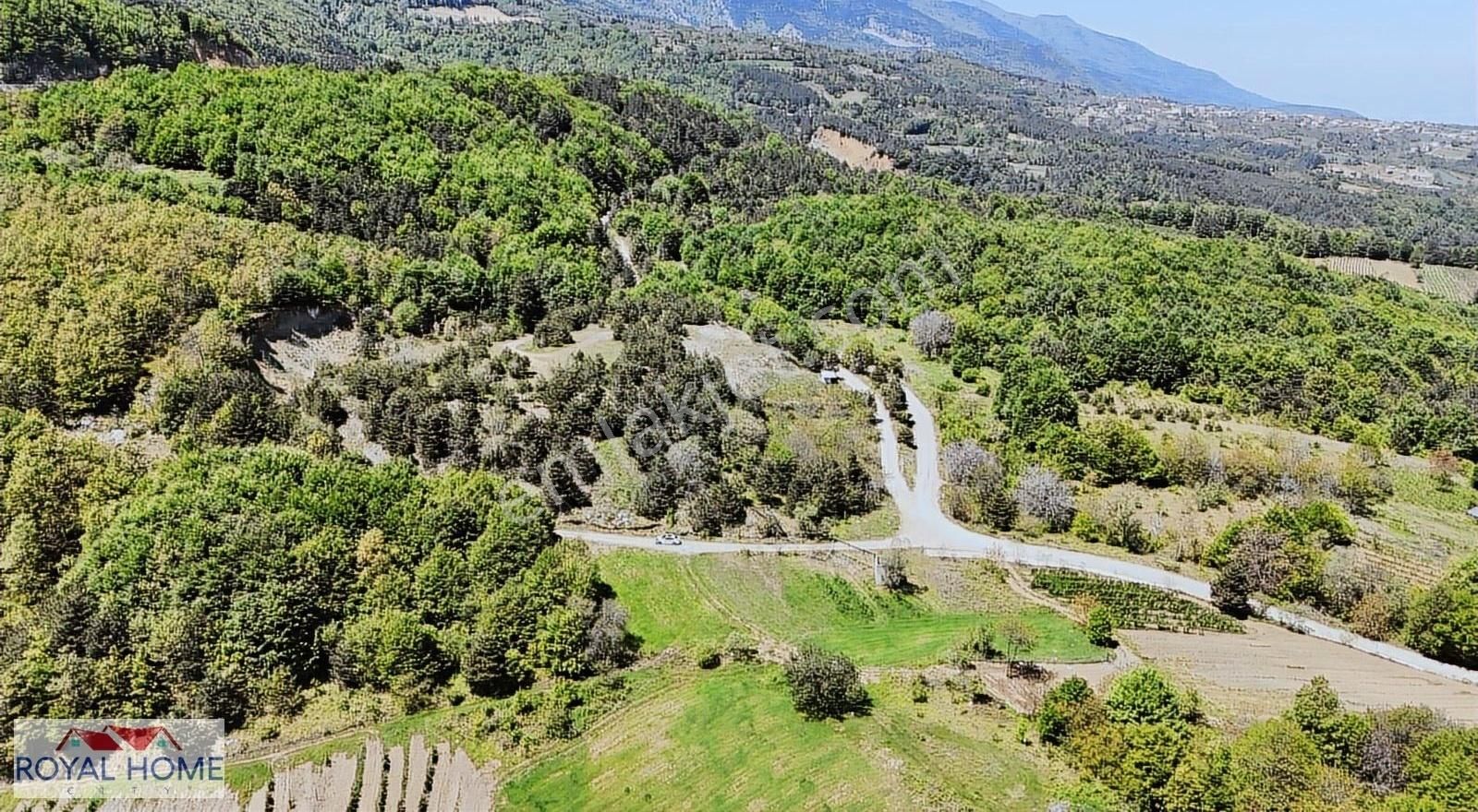 Kestel Sayfiye'de Manzaralı Yolu-kaynak Suyu Olan Fırsat Bahçe - Görsel 7