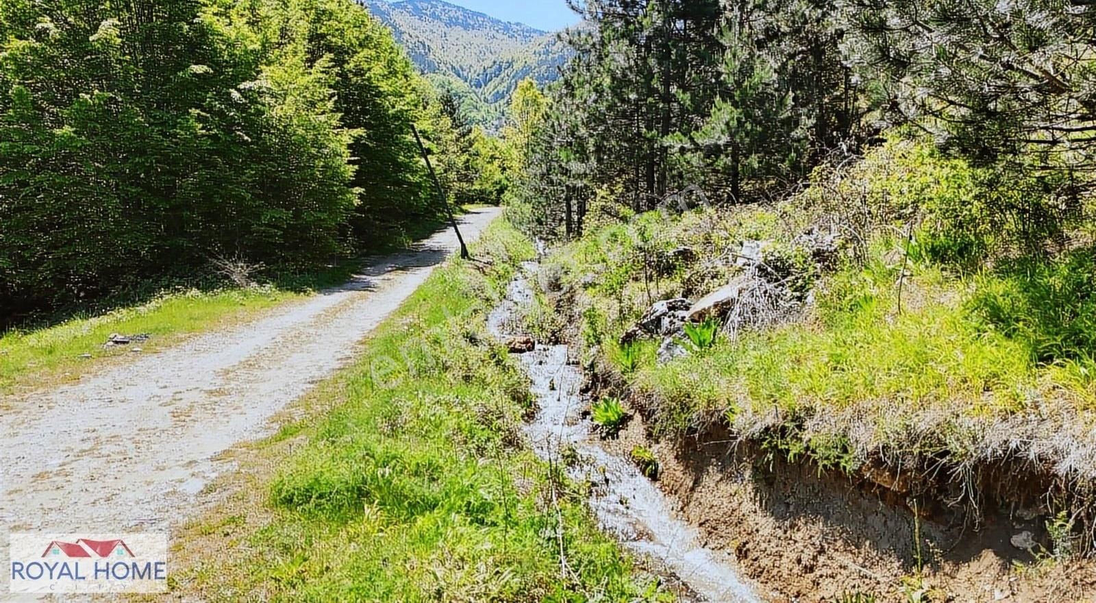 Kestel Sayfiye'de Manzaralı Yolu-kaynak Suyu Olan Fırsat Bahçe - Görsel 13