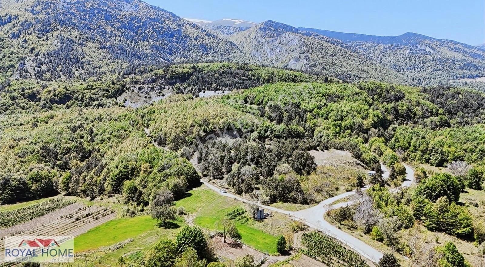 Kestel Sayfiye'de Manzaralı Yolu-kaynak Suyu Olan Fırsat Bahçe - Görsel 10