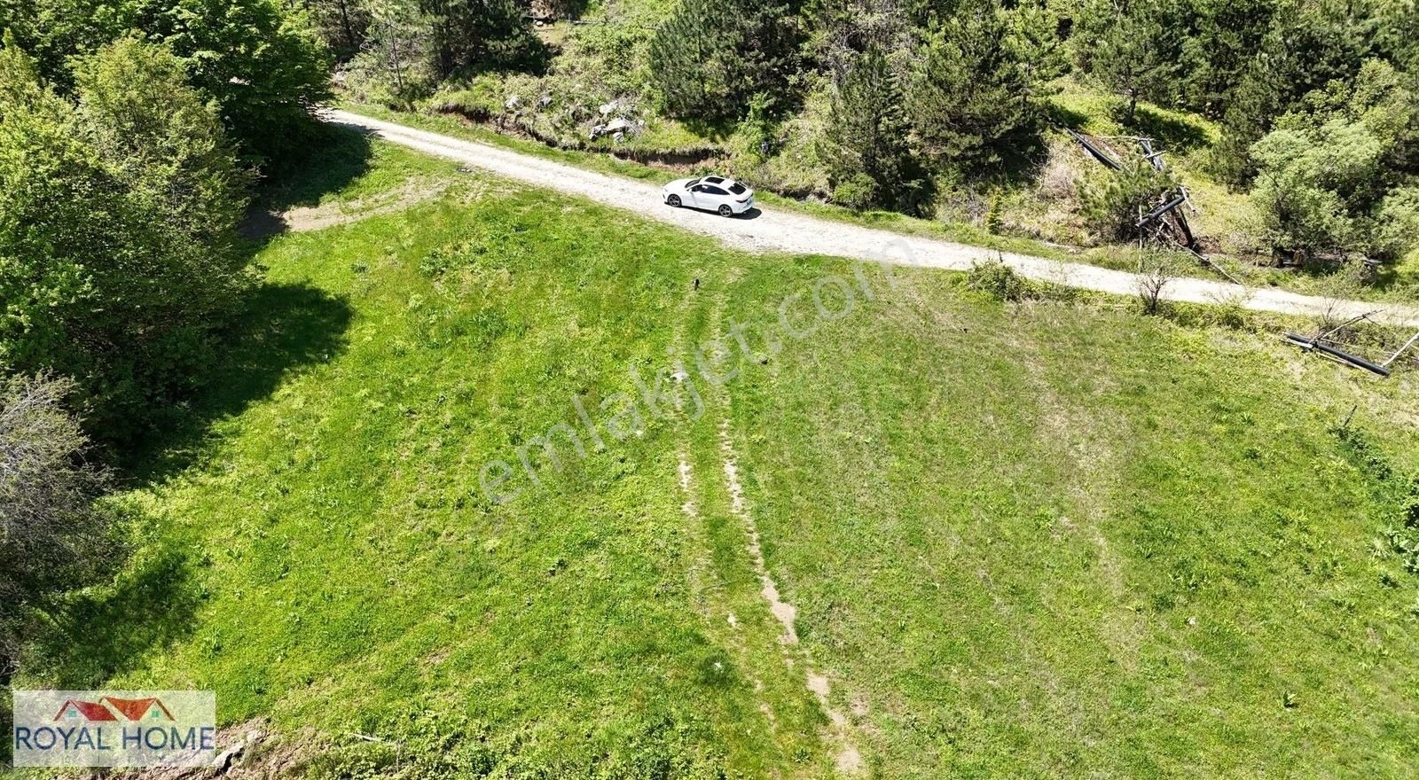 Kestel Sayfiye'de Manzaralı Yolu-kaynak Suyu Olan Fırsat Bahçe - Görsel 2