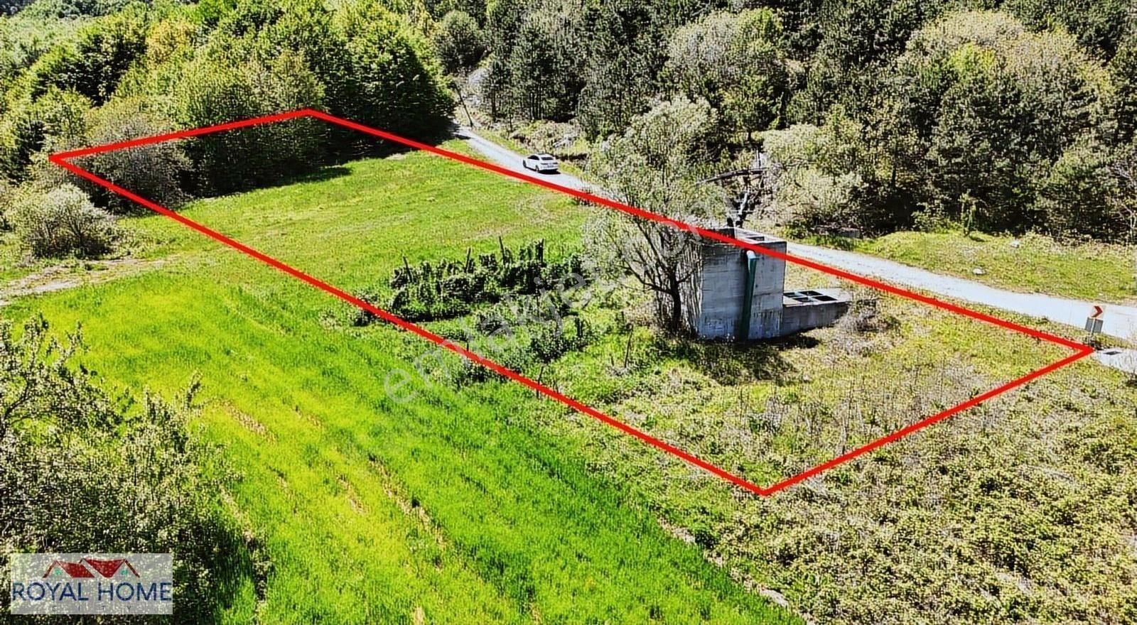 Kestel Sayfiye'de Manzaralı Yolu-kaynak Suyu Olan Fırsat Bahçe - Görsel 11