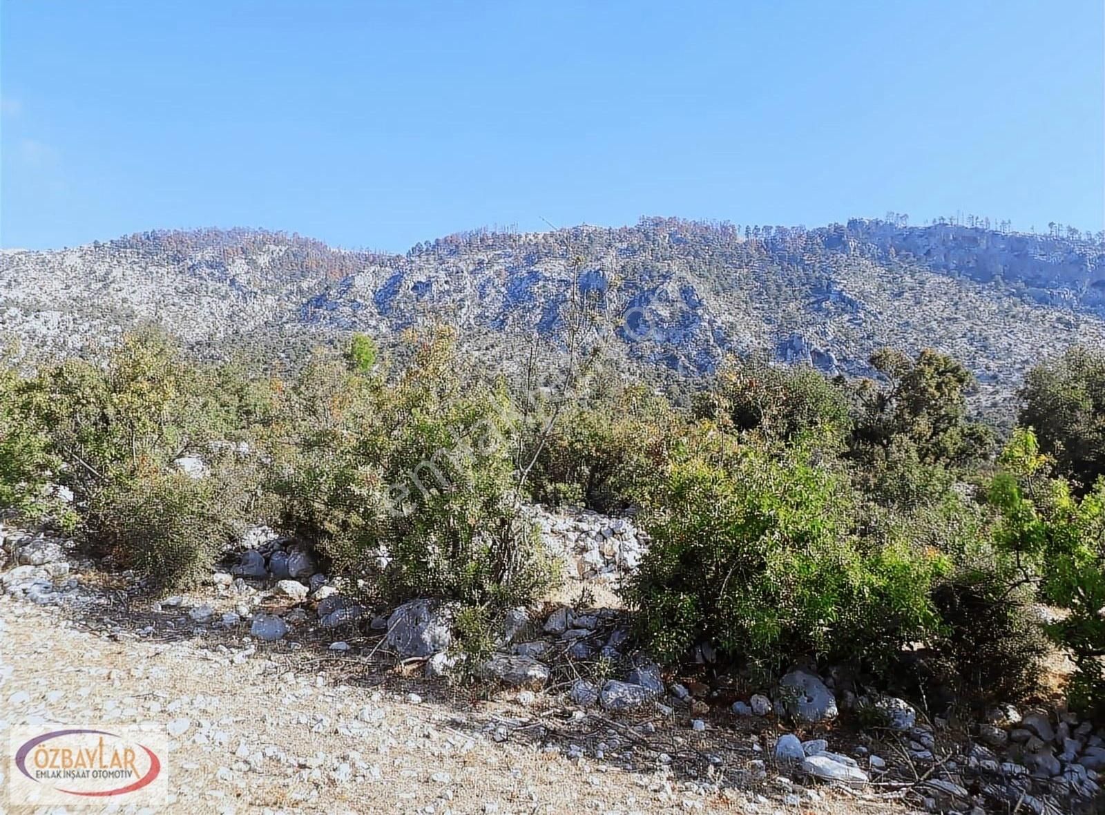 Antalya Manavgat Gebecede Satılık Mustakil Tarla