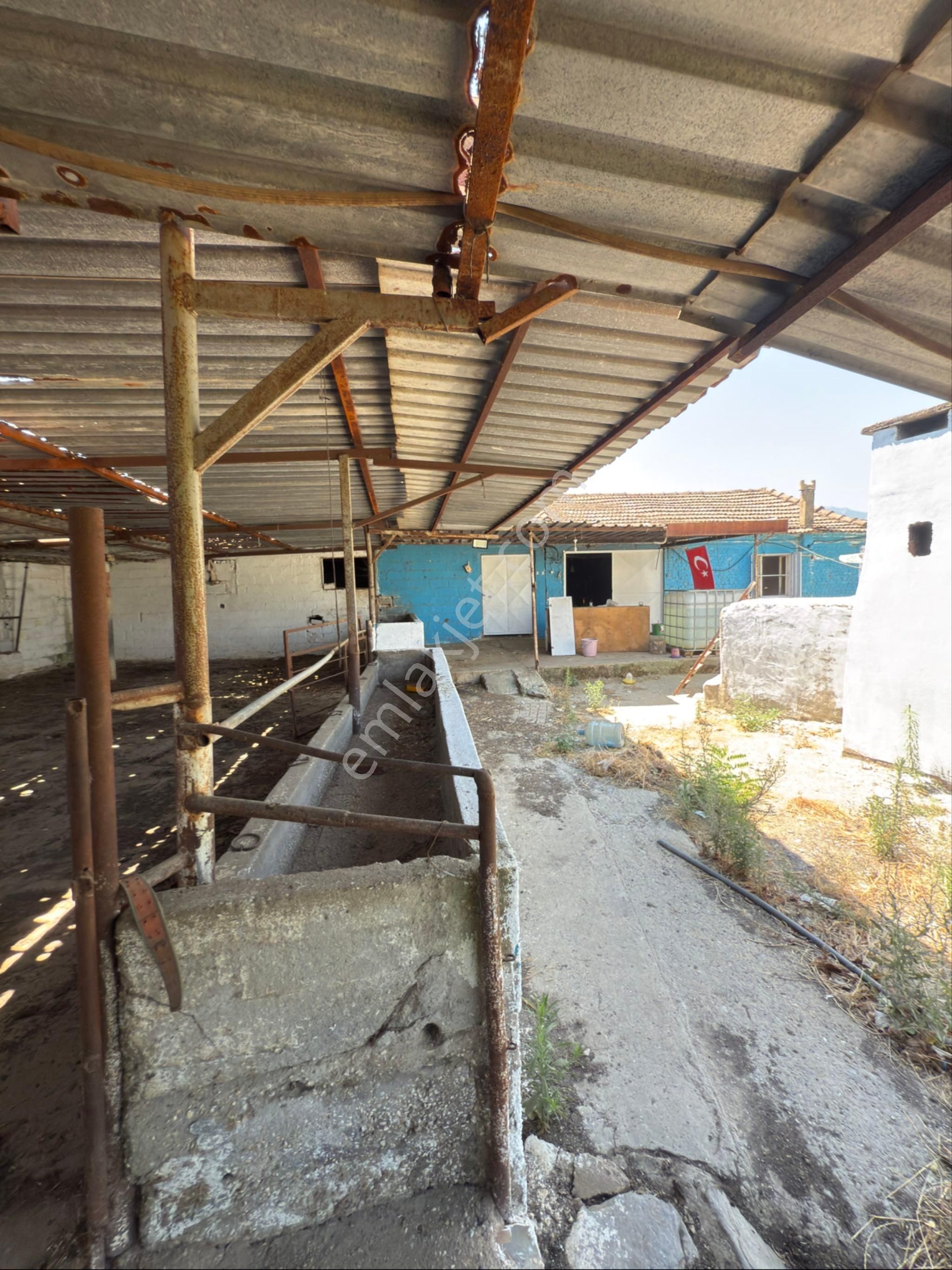 Akyörük Gayrimenkulden Satılık Çiftlik - Görsel 12