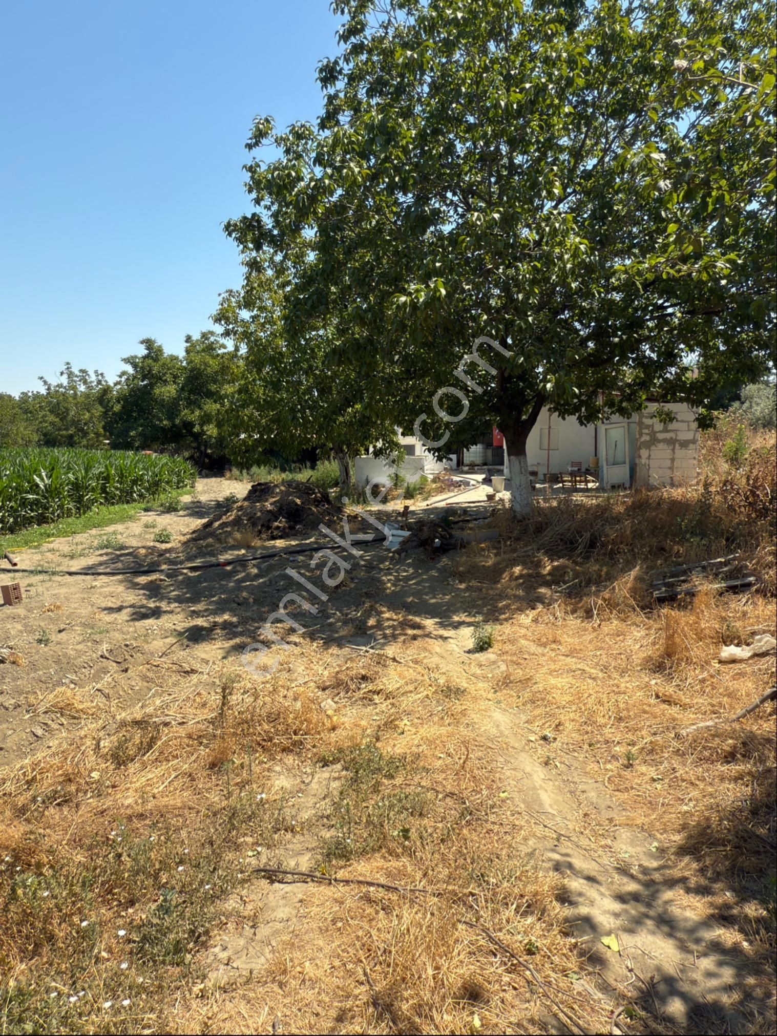 Akyörük Gayrimenkulden Satılık Çiftlik - Görsel 31