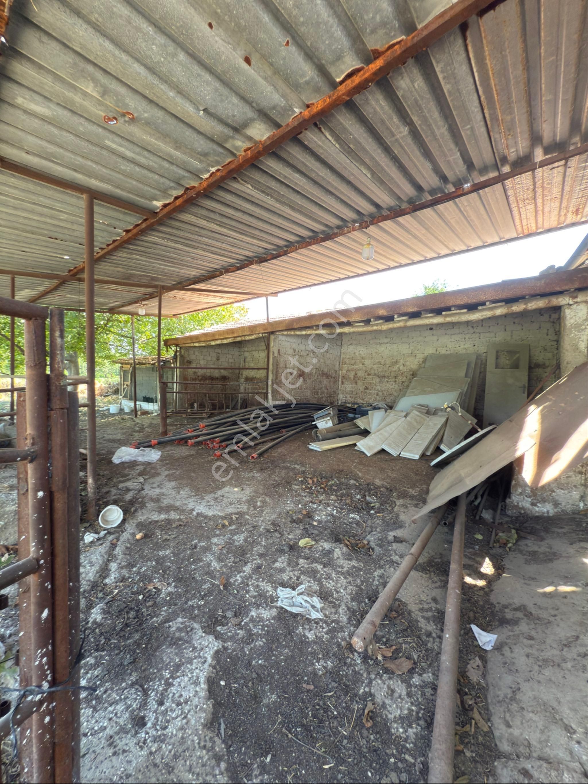 Akyörük Gayrimenkulden Satılık Çiftlik - Görsel 9