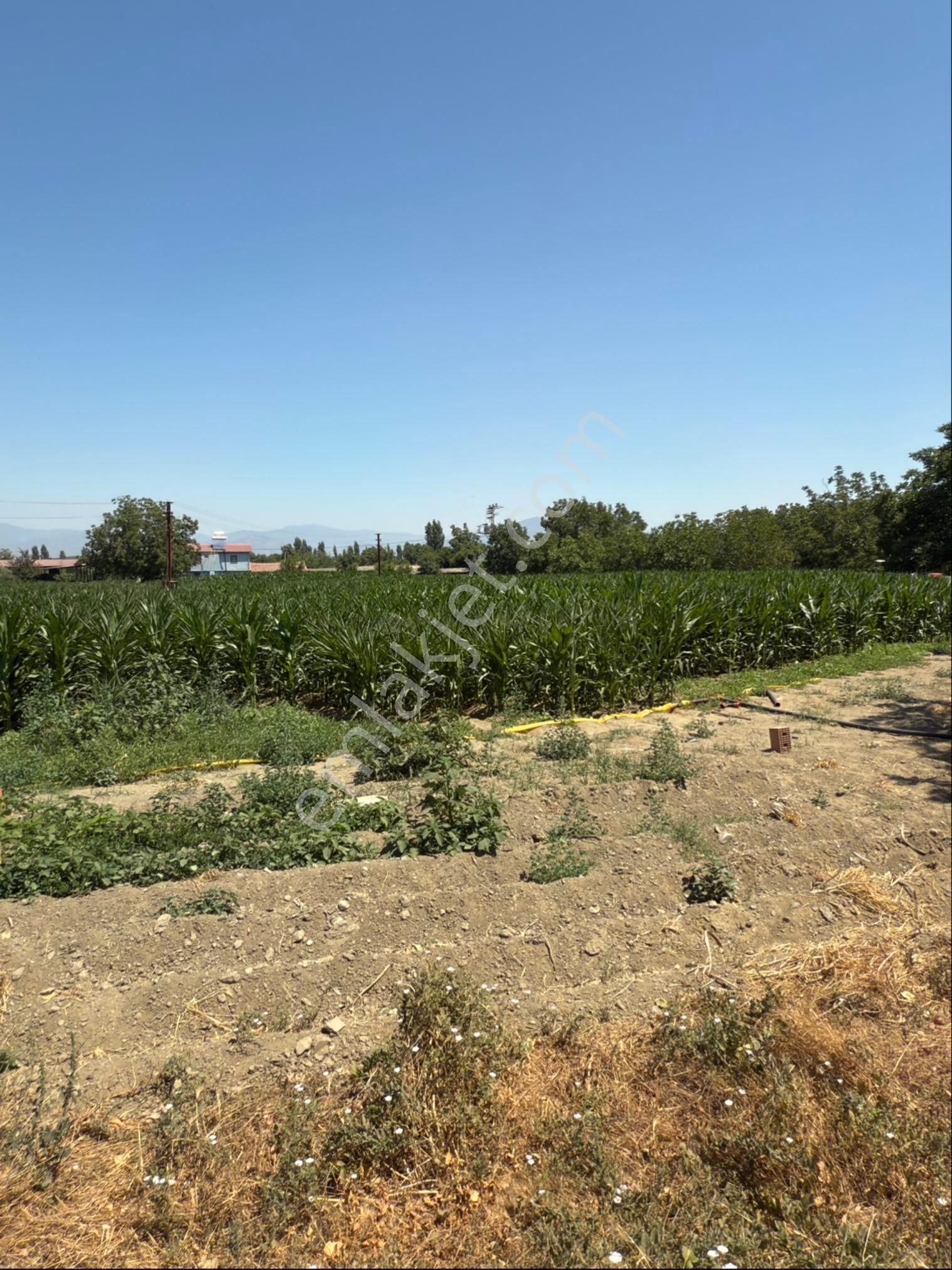 Akyörük Gayrimenkulden Satılık Çiftlik - Görsel 30