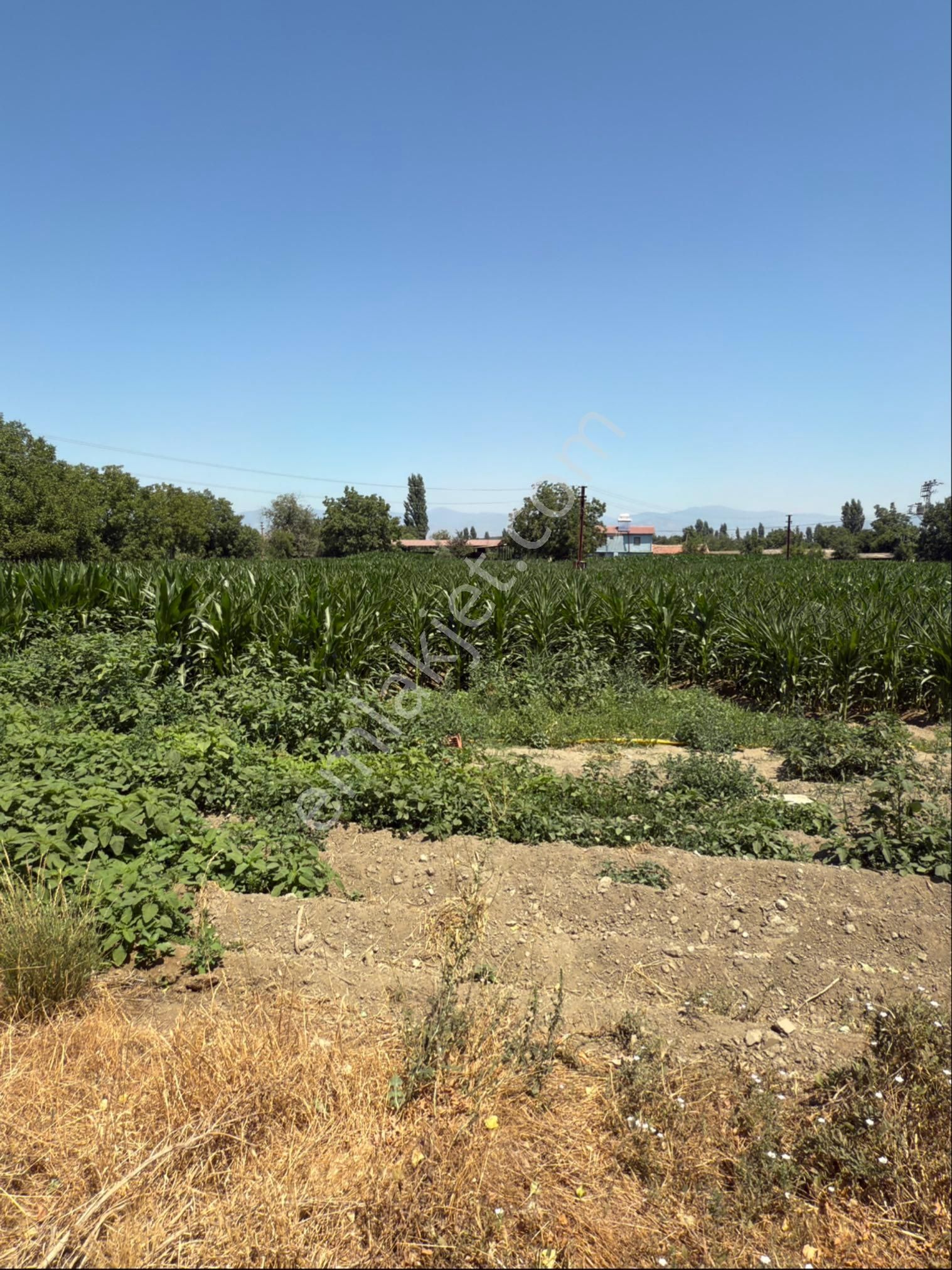 Akyörük Gayrimenkulden Satılık Çiftlik - Görsel 29