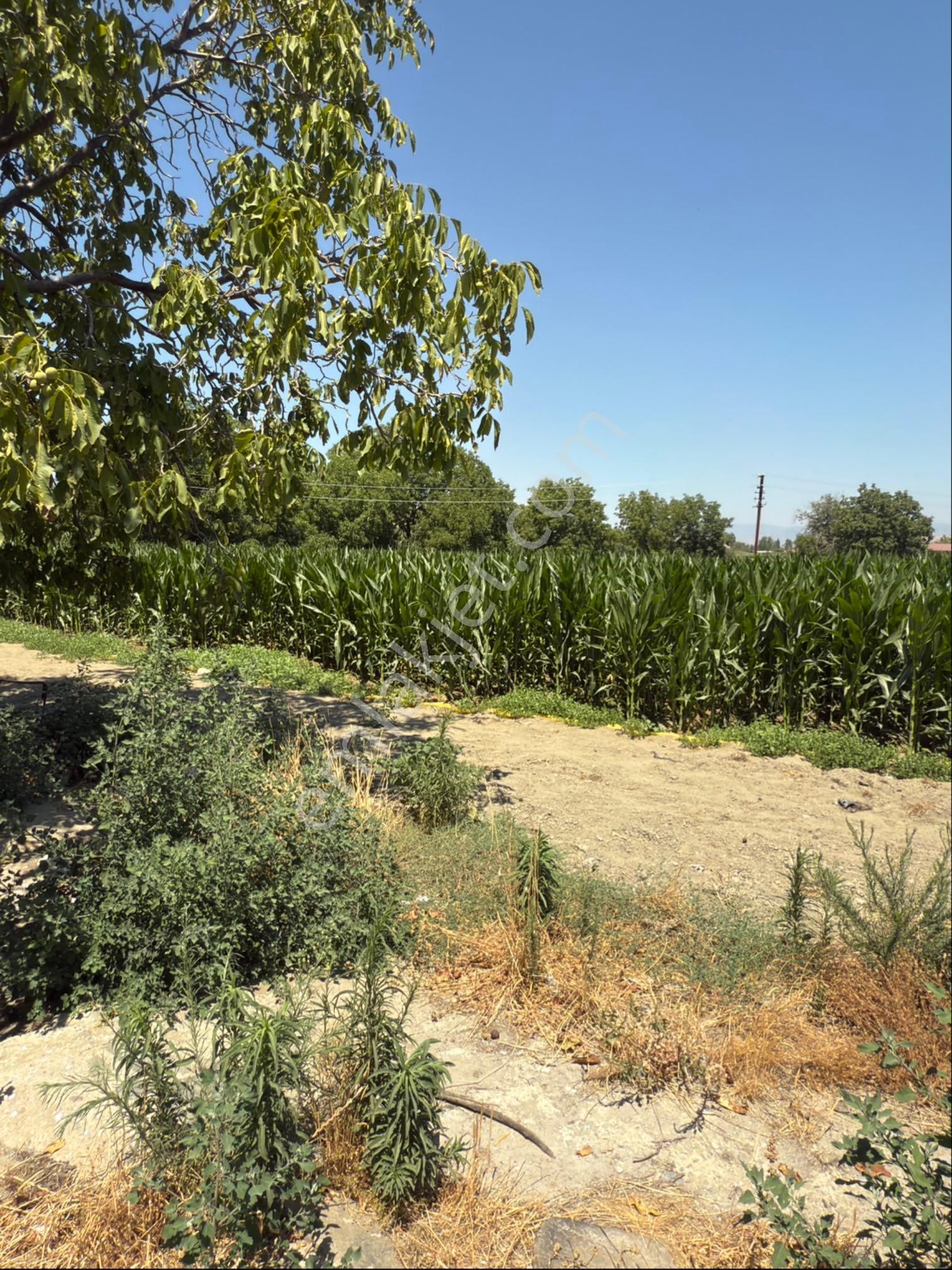 Akyörük Gayrimenkulden Satılık Çiftlik - Görsel 25