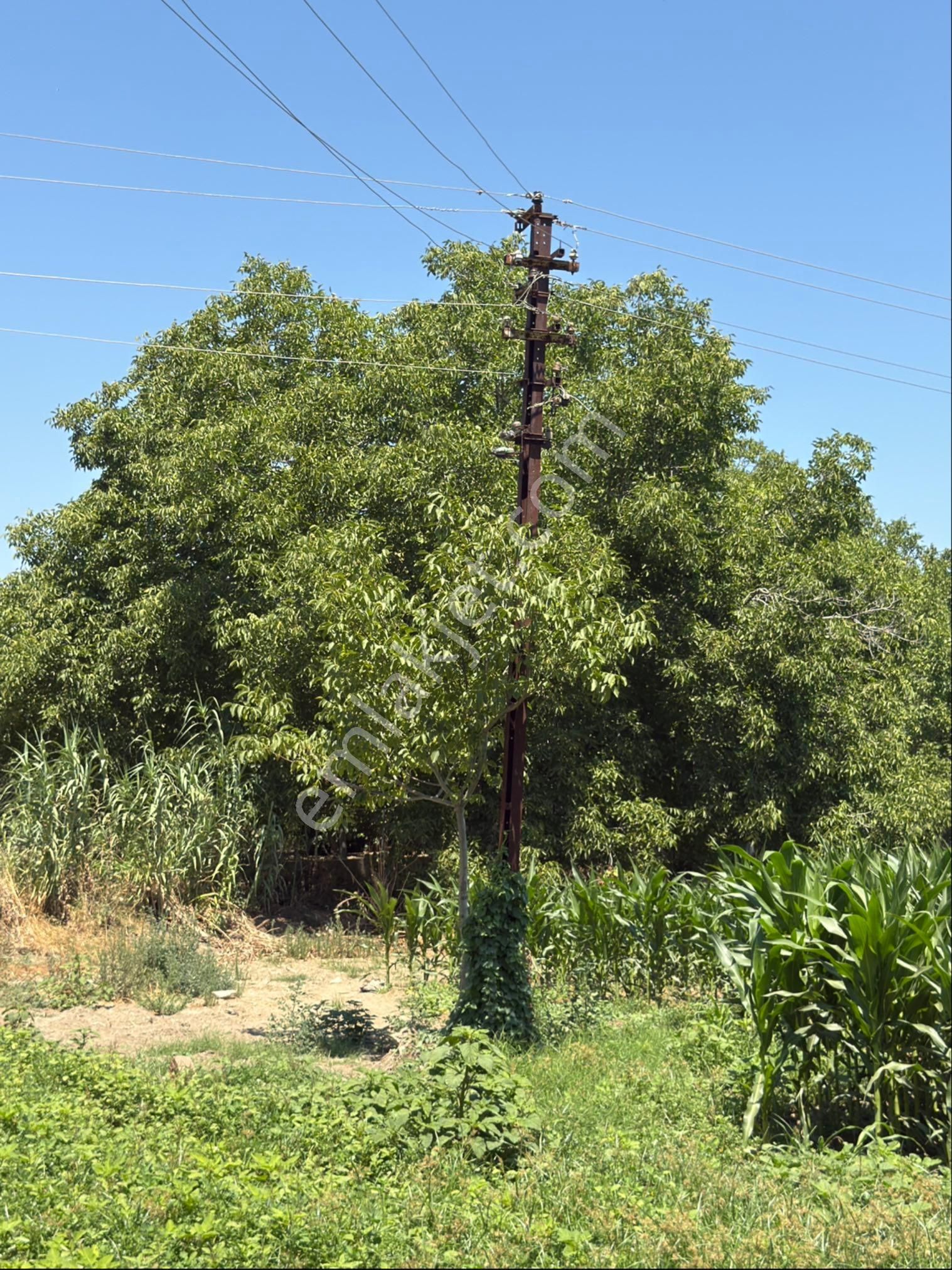 Akyörük Gayrimenkulden Satılık Çiftlik - Görsel 32