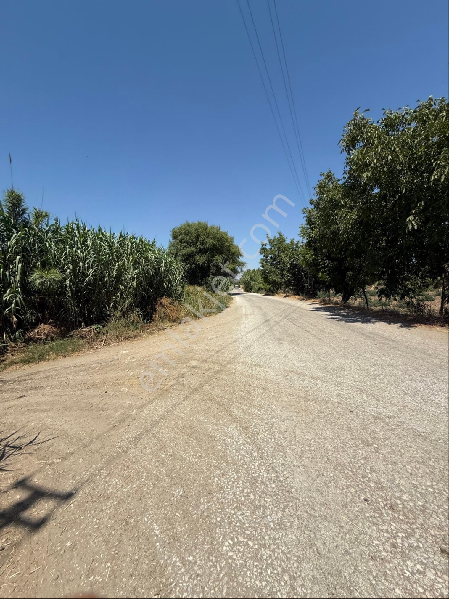 Akyörük Gayrimenkulden Satılık Çiftlik - Görsel 35