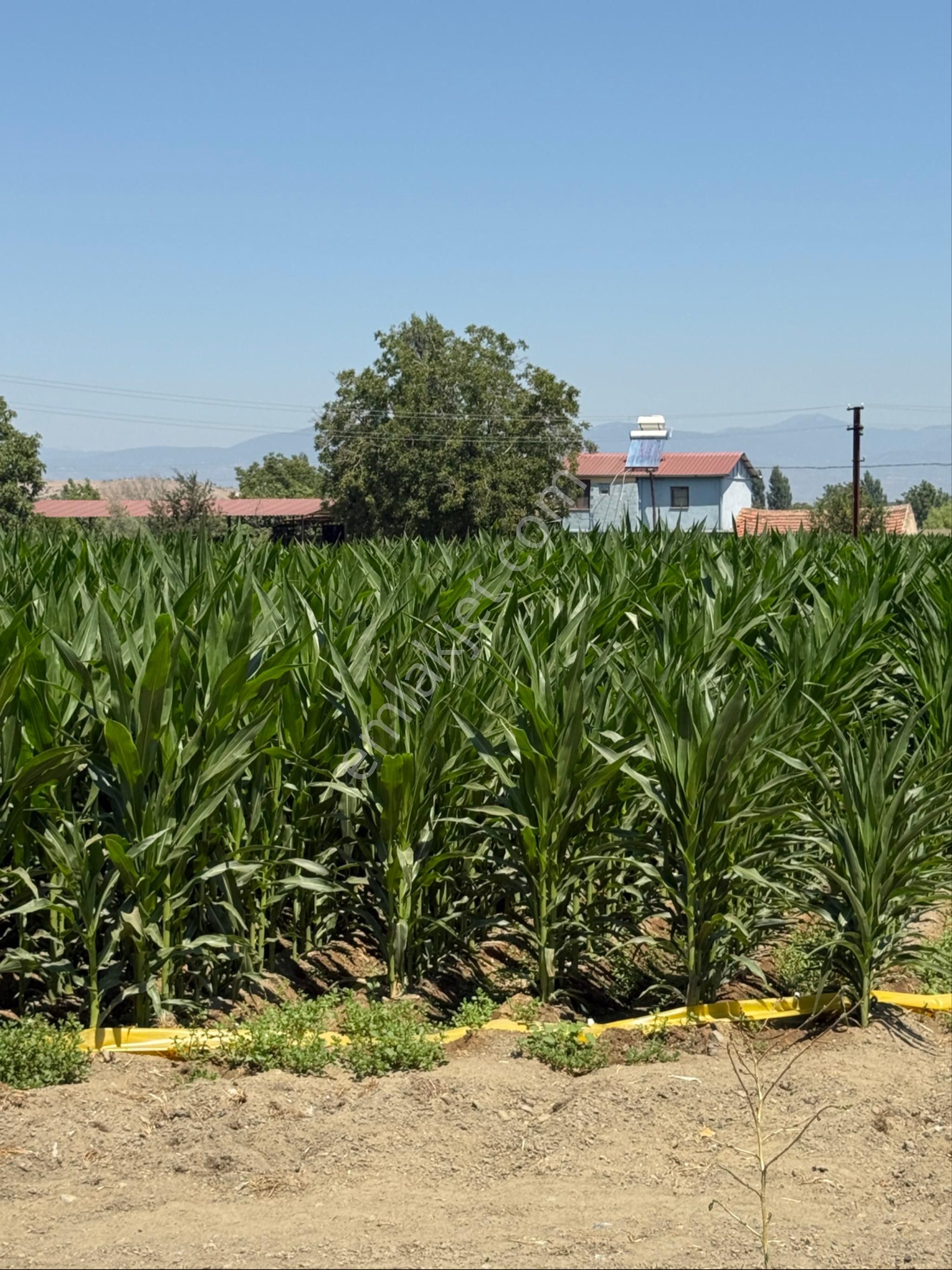Akyörük Gayrimenkulden Satılık Çiftlik - Görsel 24