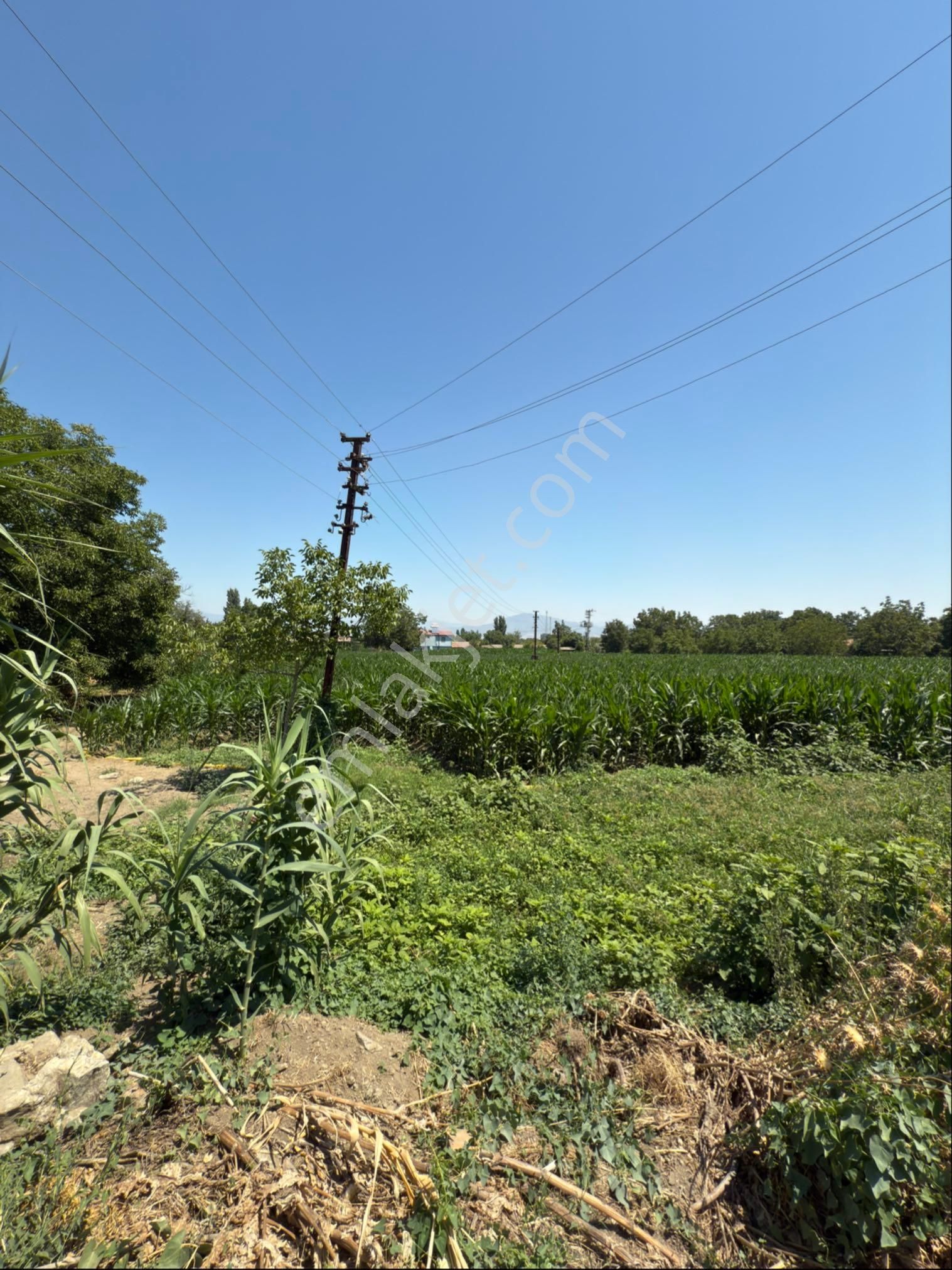 Akyörük Gayrimenkulden Satılık Çiftlik - Görsel 4