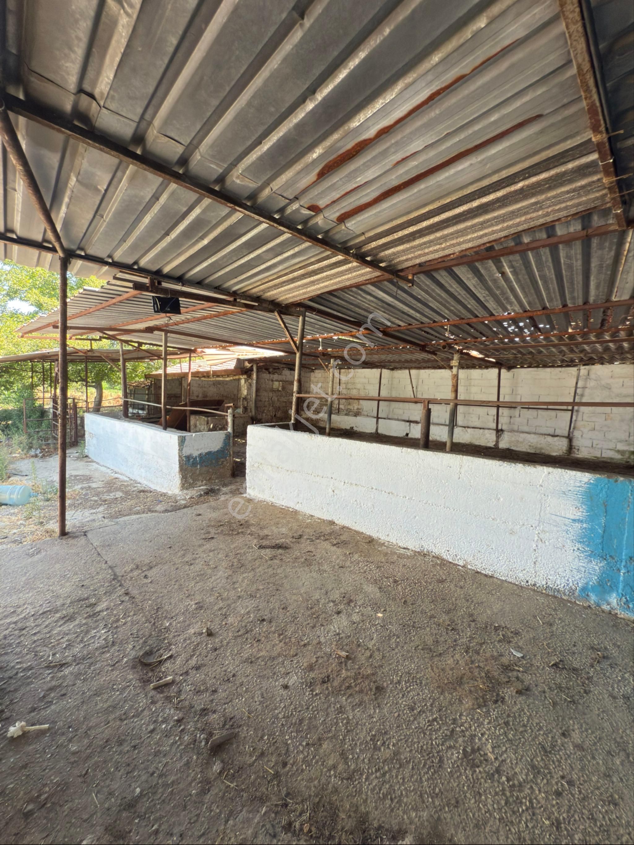 Akyörük Gayrimenkulden Satılık Çiftlik - Görsel 14