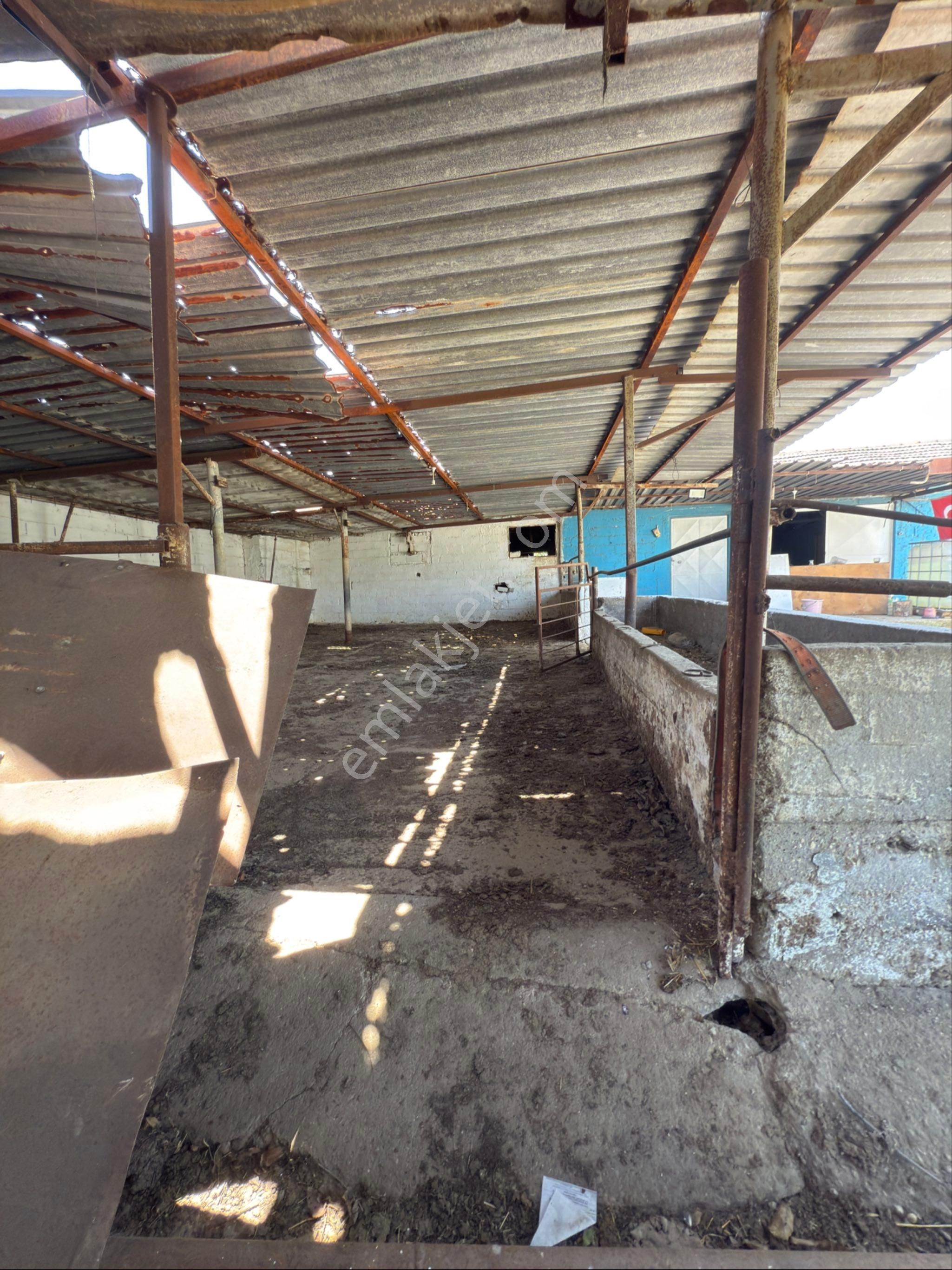 Akyörük Gayrimenkulden Satılık Çiftlik - Görsel 11