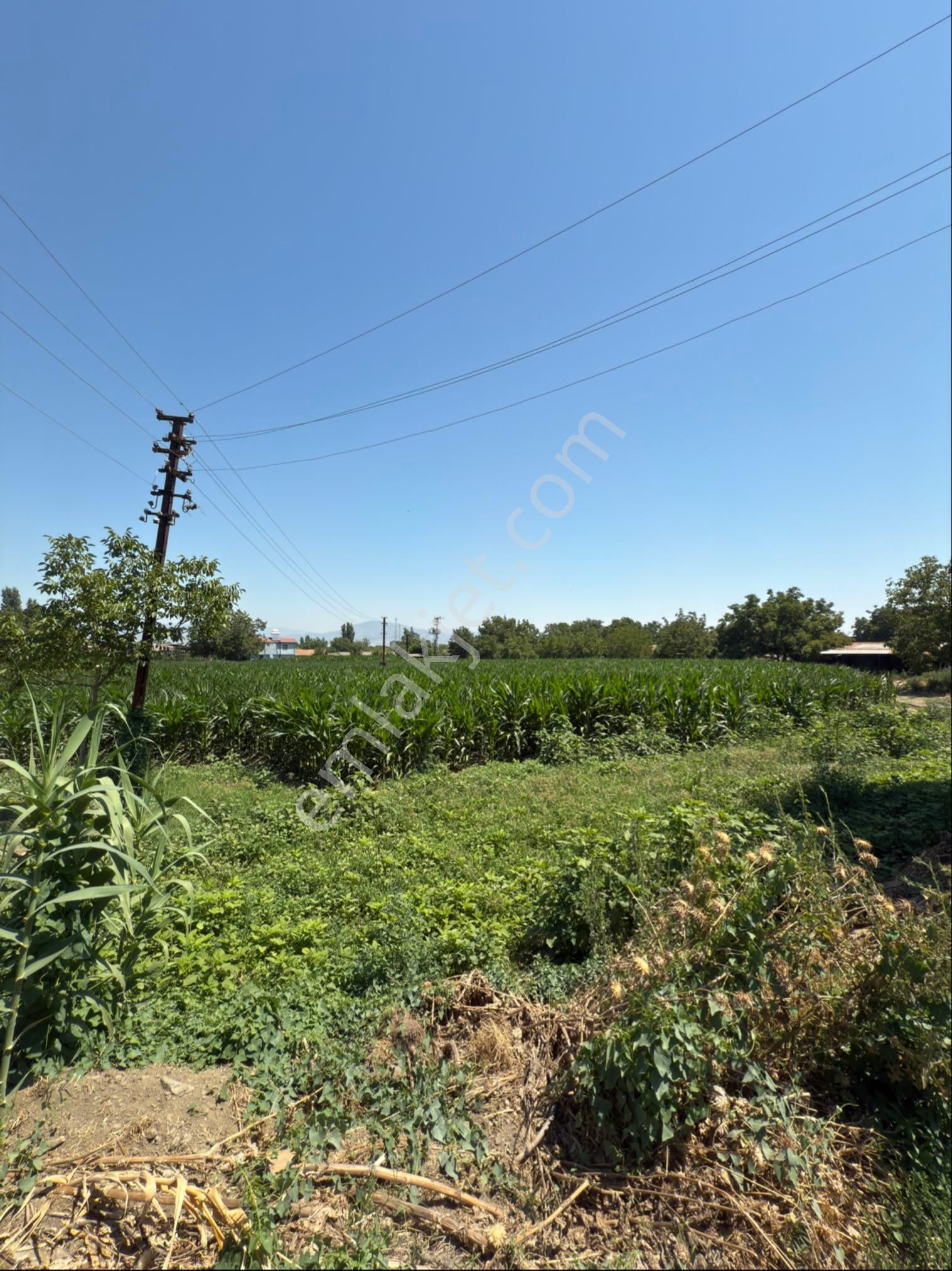 Akyörük Gayrimenkulden Satılık Çiftlik - Görsel 2