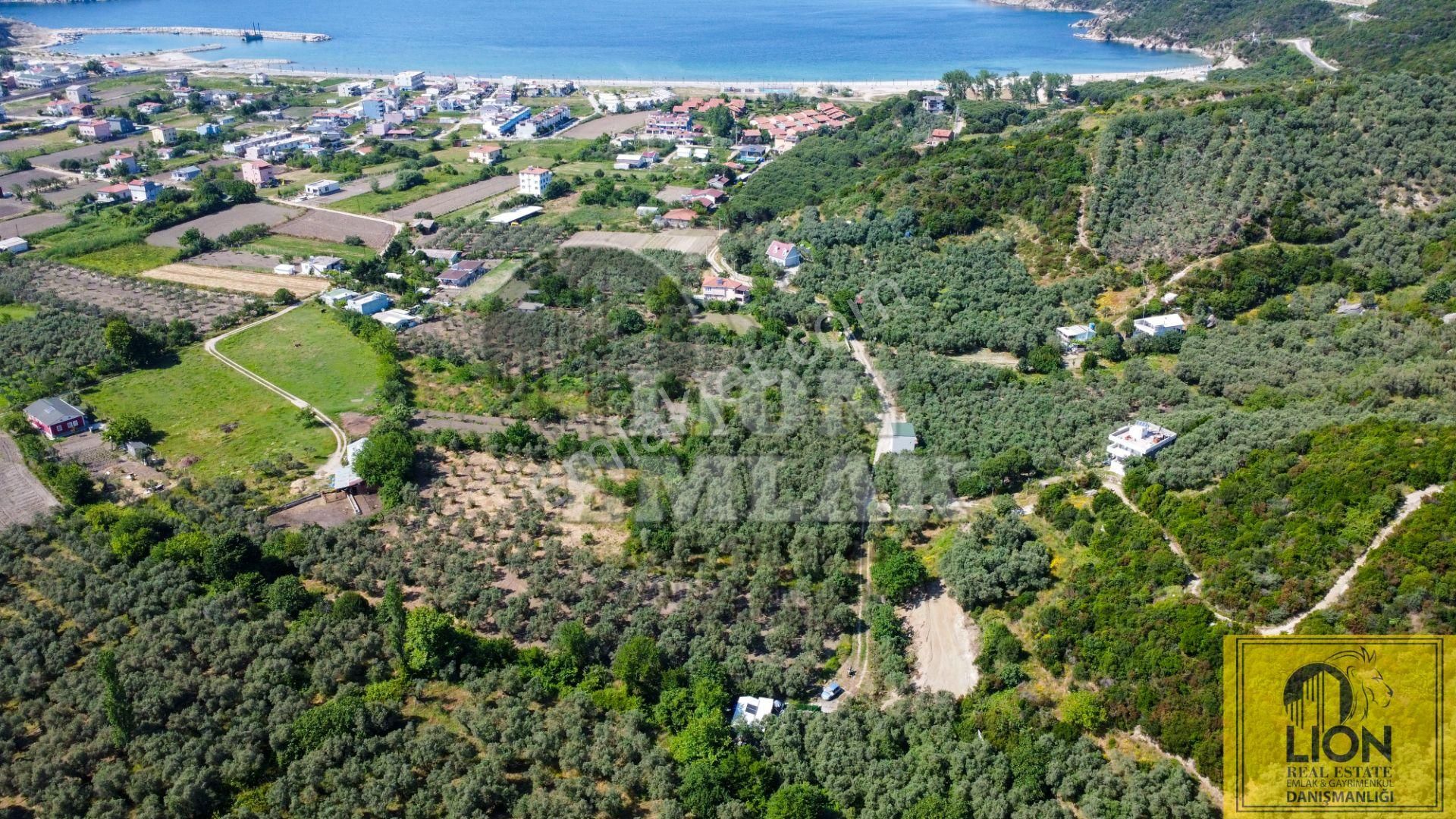 🟨⬛lıon Emlak'tan Turan Mahallesinde 2344m² Satılık Zeytinlik⬛🟨 - Görsel 4