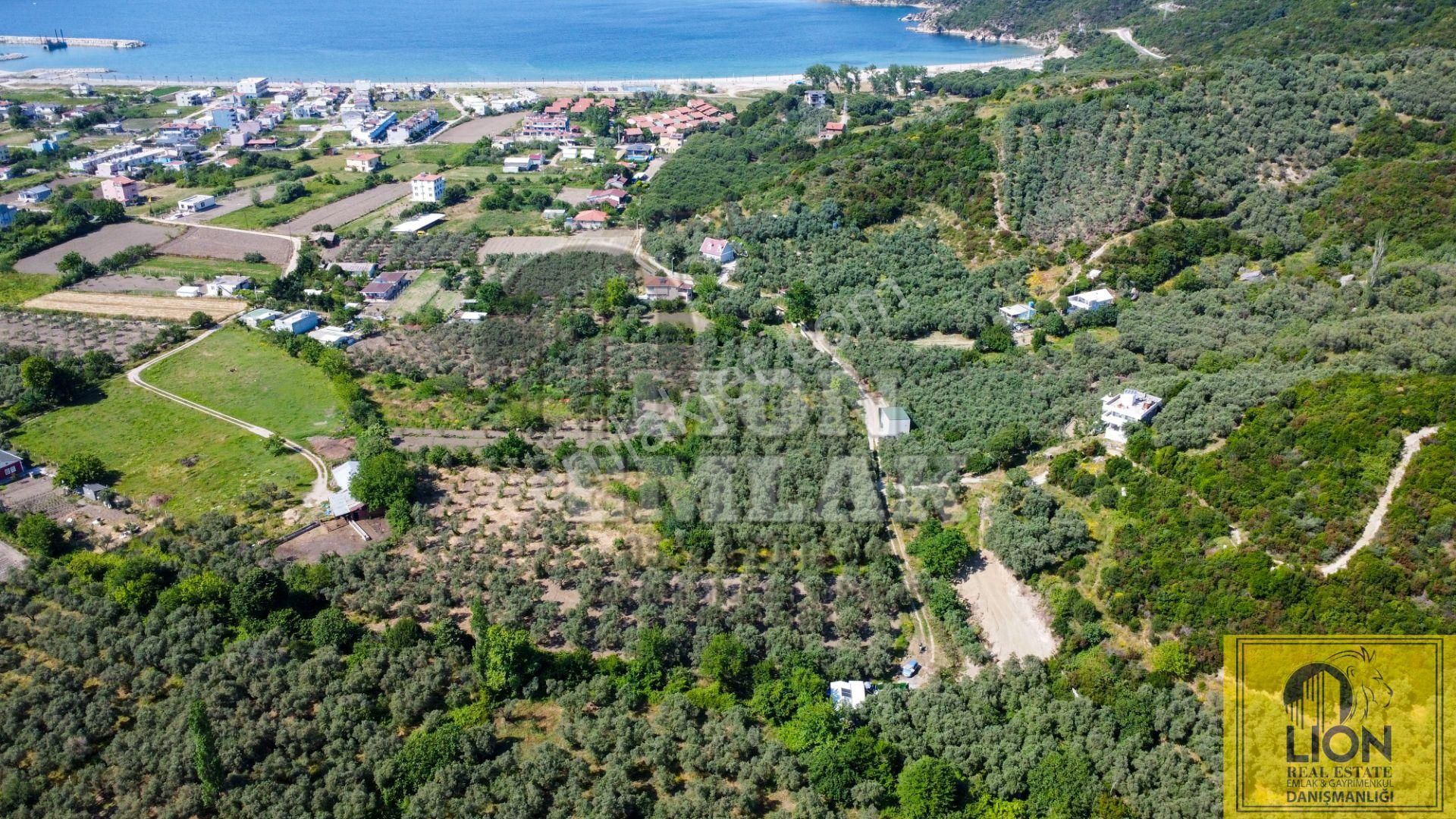 🟨⬛lıon Emlak'tan Turan Mahallesinde 2344m² Satılık Zeytinlik⬛🟨 - Görsel 5