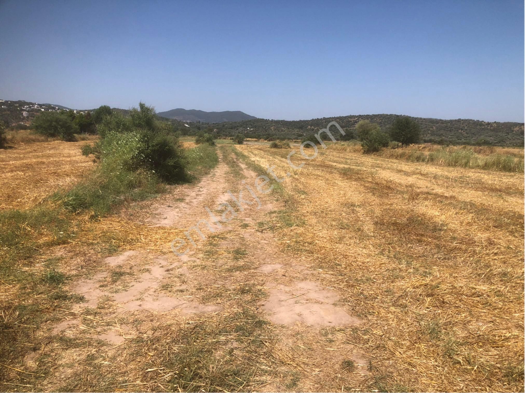 Mumcular Karaova’da Satılık Arsa 10.250 M2