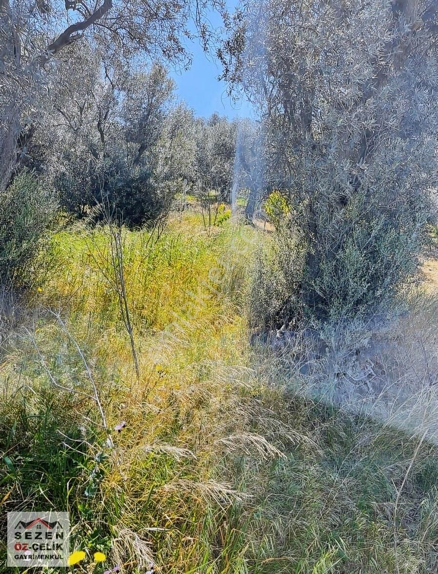 Erdek-edincik Yolu Üzeri Asfalta Cephe Deniz Manzaralı Yazlık - Görsel 31