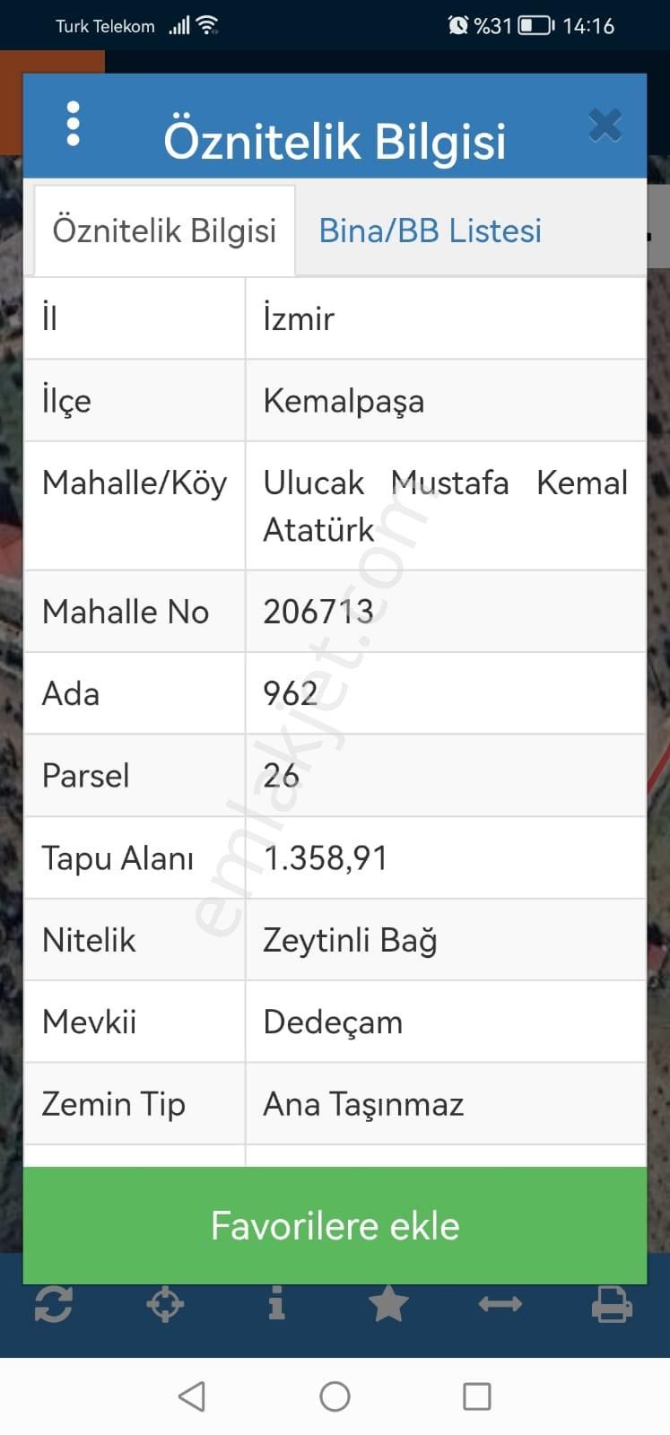 Kemalpaşa Ulucak Dedebaşı Mevki Zeytinli Bağ