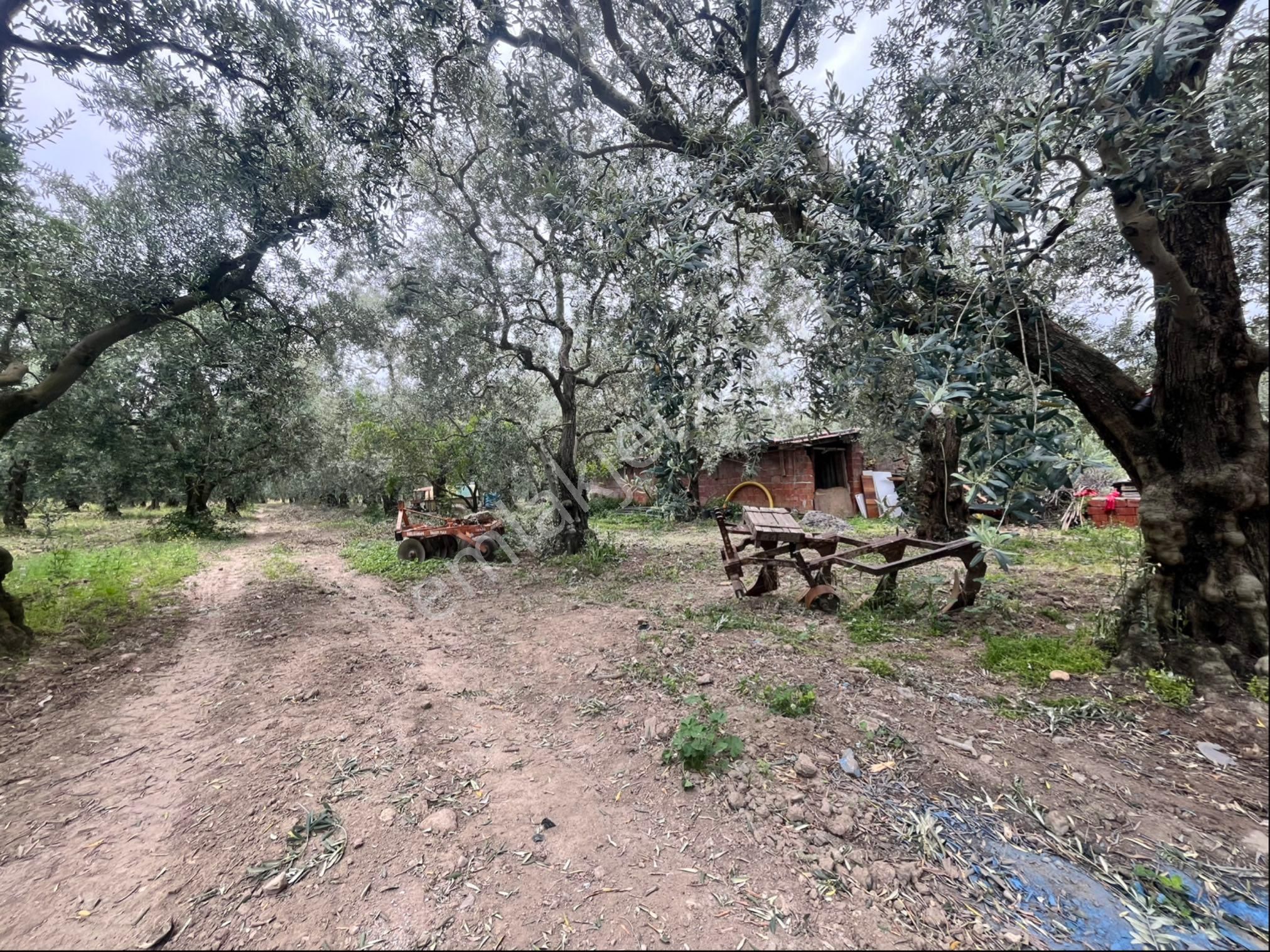 Sahibinden Satılık 2.080 M2 Arsa Üzerinde Müstakil Ev - Görsel 13