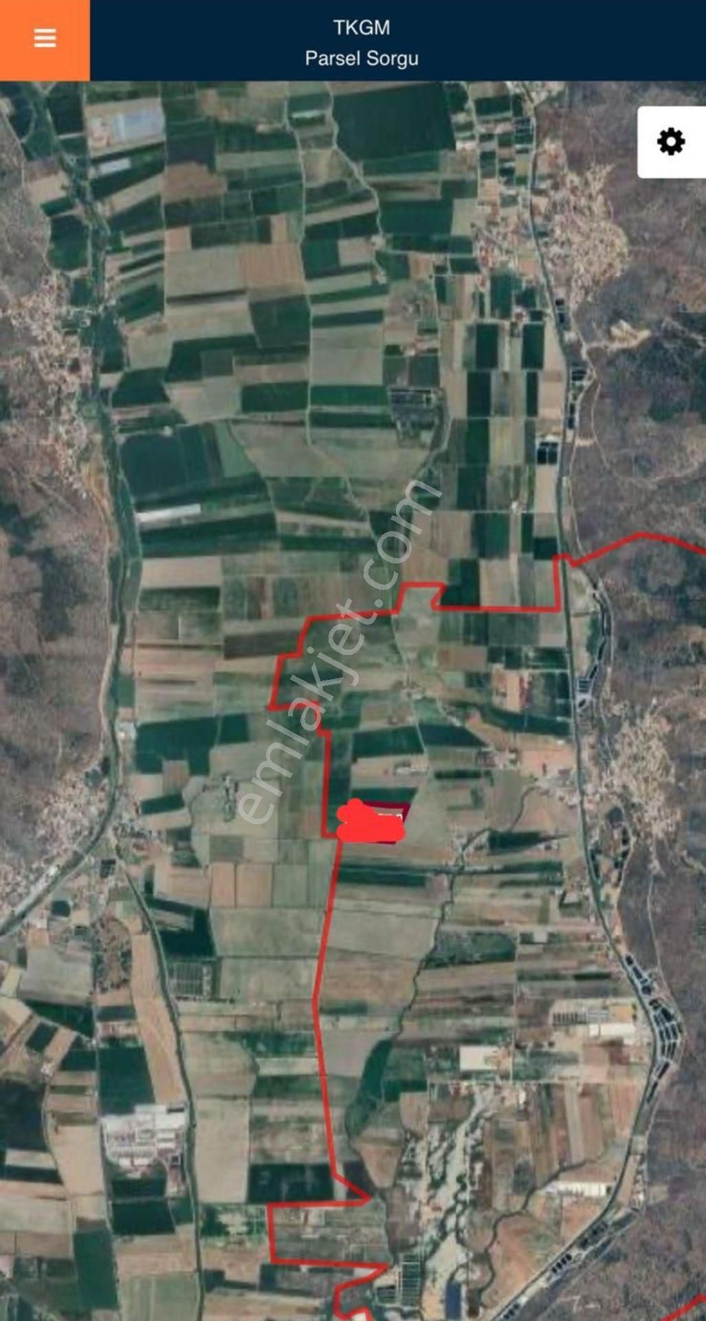 Milas Savranda Satılık Tarla