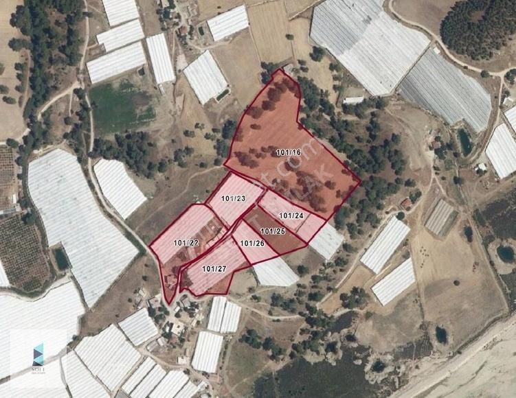 Dirgenler Mahallesinde Tek Tapu Olarak 28 Dönüm Satılık Arazi - Görsel 3