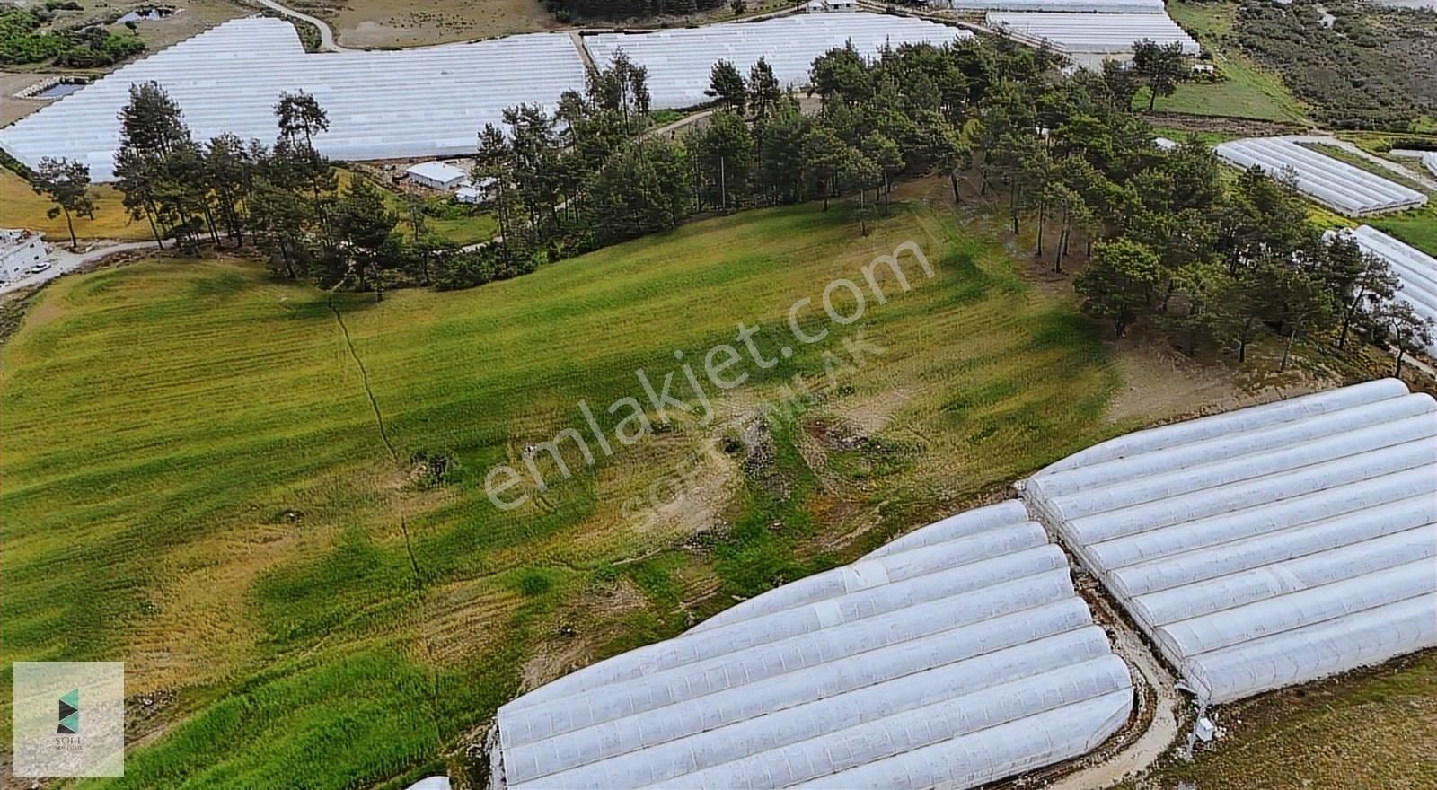 Dirgenler Mahallesinde Tek Tapu Olarak 28 Dönüm Satılık Arazi - Görsel 9