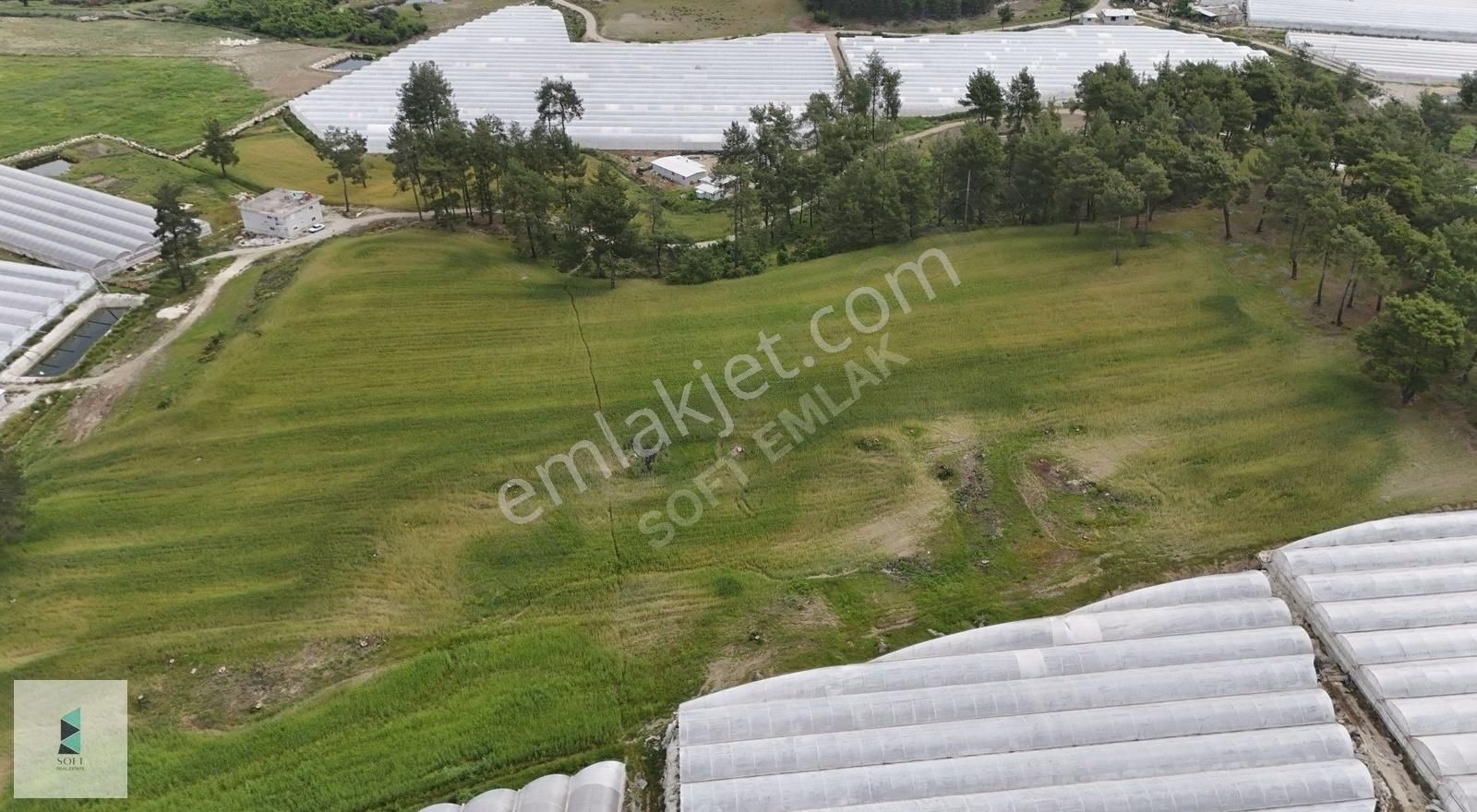 Dirgenler Mahallesinde Tek Tapu Olarak 28 Dönüm Satılık Arazi - Görsel 4