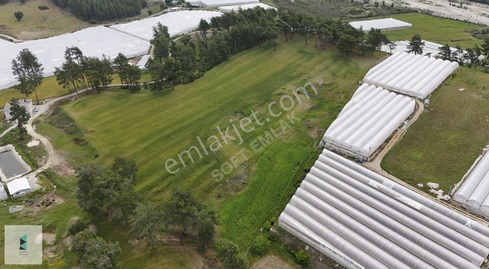 Dirgenler Mahallesinde Tek Tapu Olarak 28 Dönüm Satılık Arazi - Görsel 6