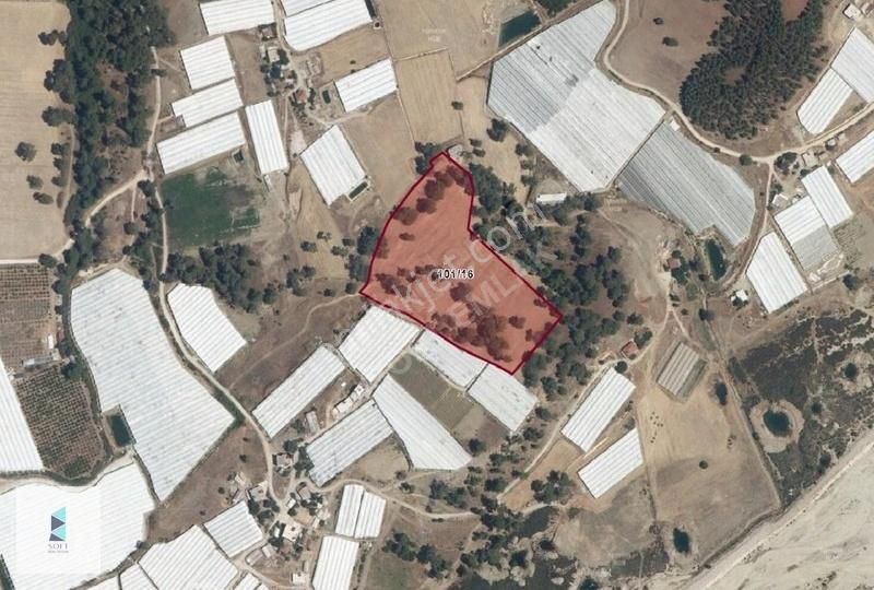 Dirgenler Mahallesinde Tek Tapu Olarak 28 Dönüm Satılık Arazi - Görsel 5