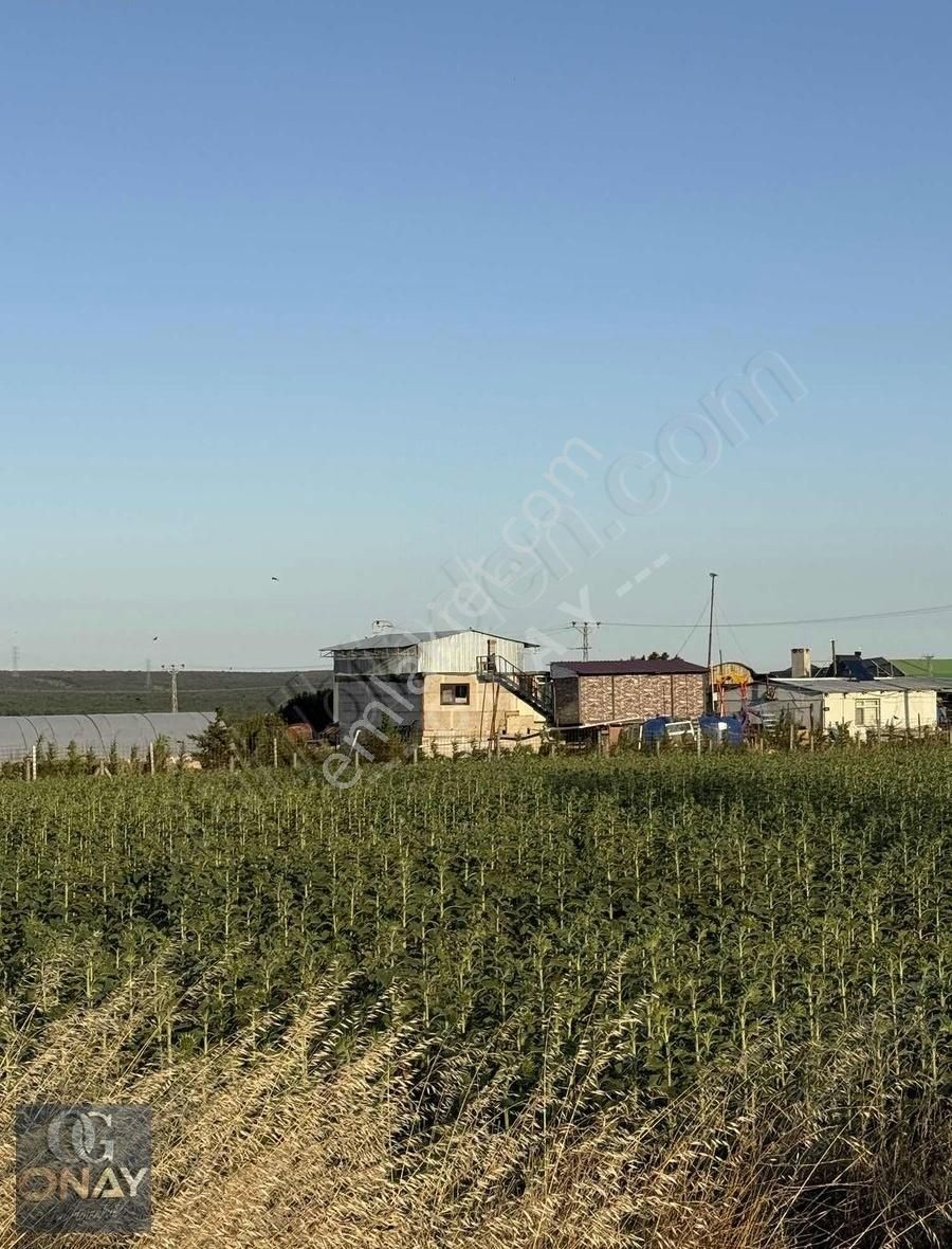 Silivri Beyciler Asfalt Cephe Yatırıma Uygun 14614 M2 Tarla - Görsel 4