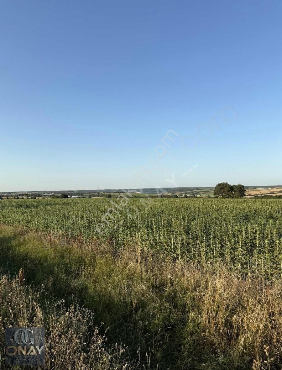 Silivri Beyciler Asfalt Cephe Yatırıma Uygun 14614 M2 Tarla - Görsel 5