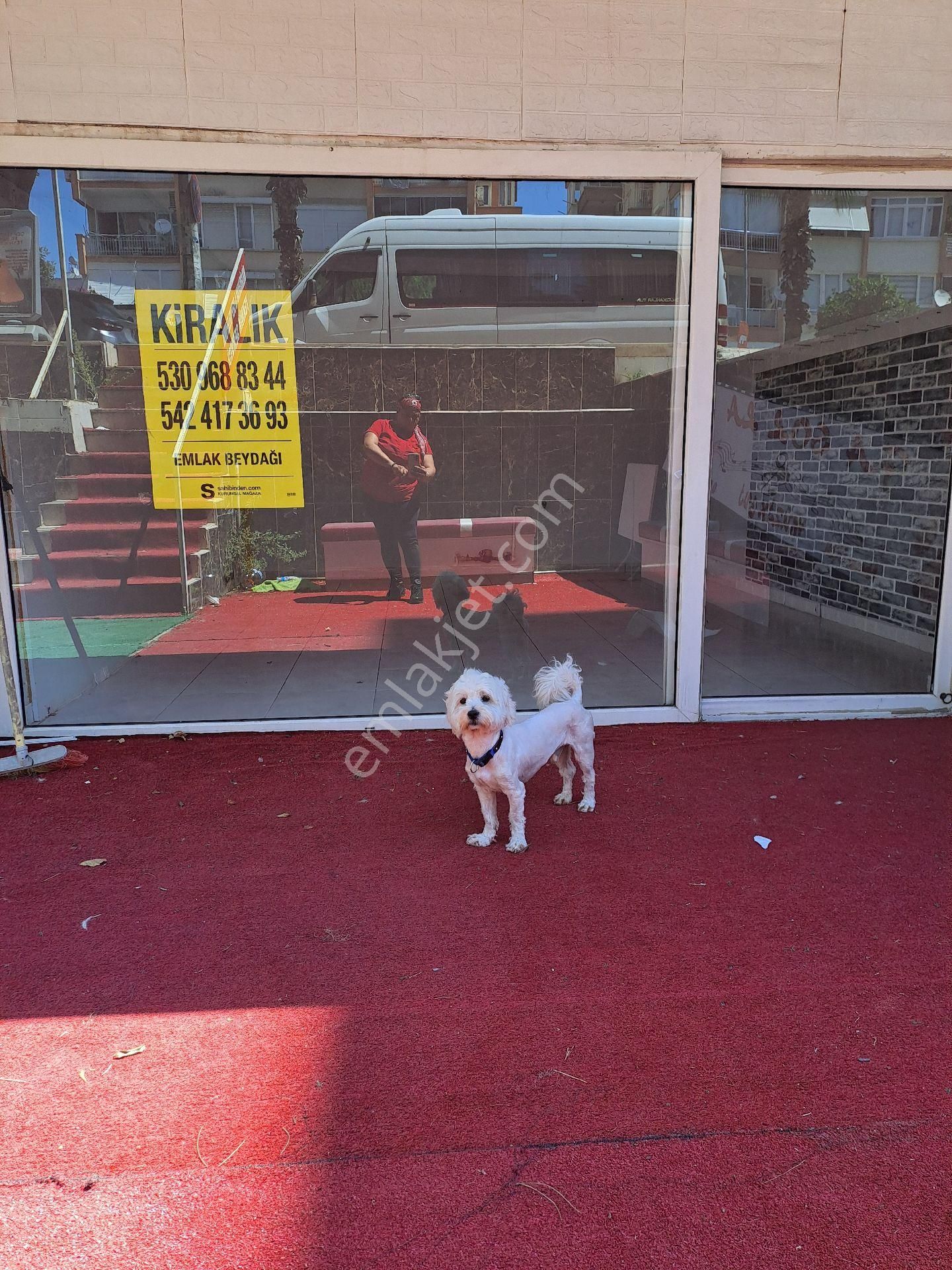 Dudu Emlak Beydağı Kiralık Dükkan Trt