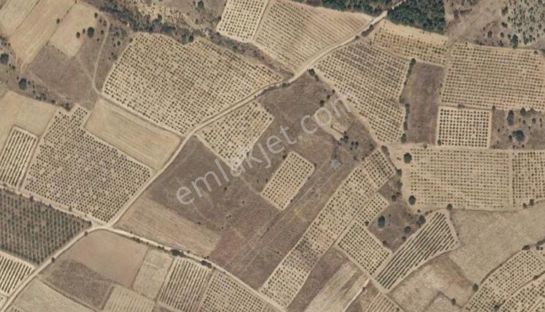 Çal'da Yatırımlık Düz 4500m² Arazi